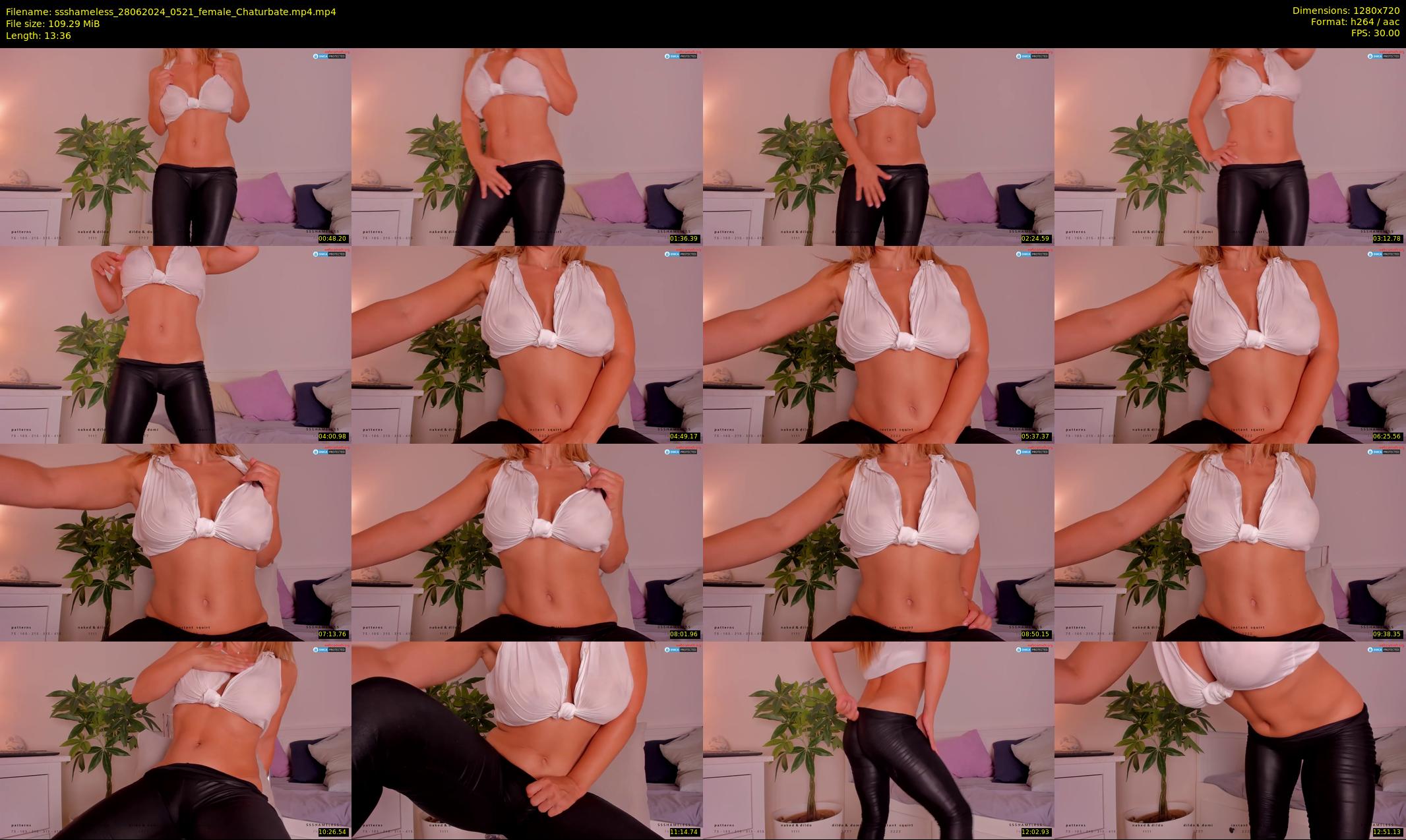 ssshameless — 14 minute Chaturbate female cam show recording, 720p, Jun 28, 2024