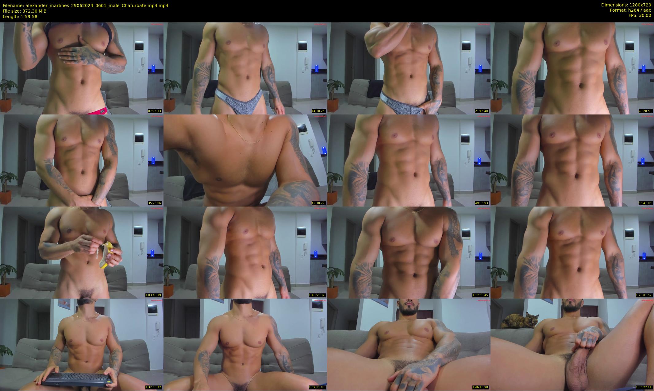 alexander_martines — 120 minute Chaturbate male cam show recording, 720p, Jun 29, 2024