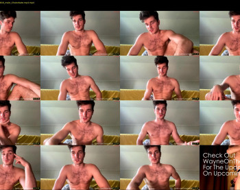 waynenorth — 31 minute Chaturbate male cam show recording, 720p, Jun 29, 2024