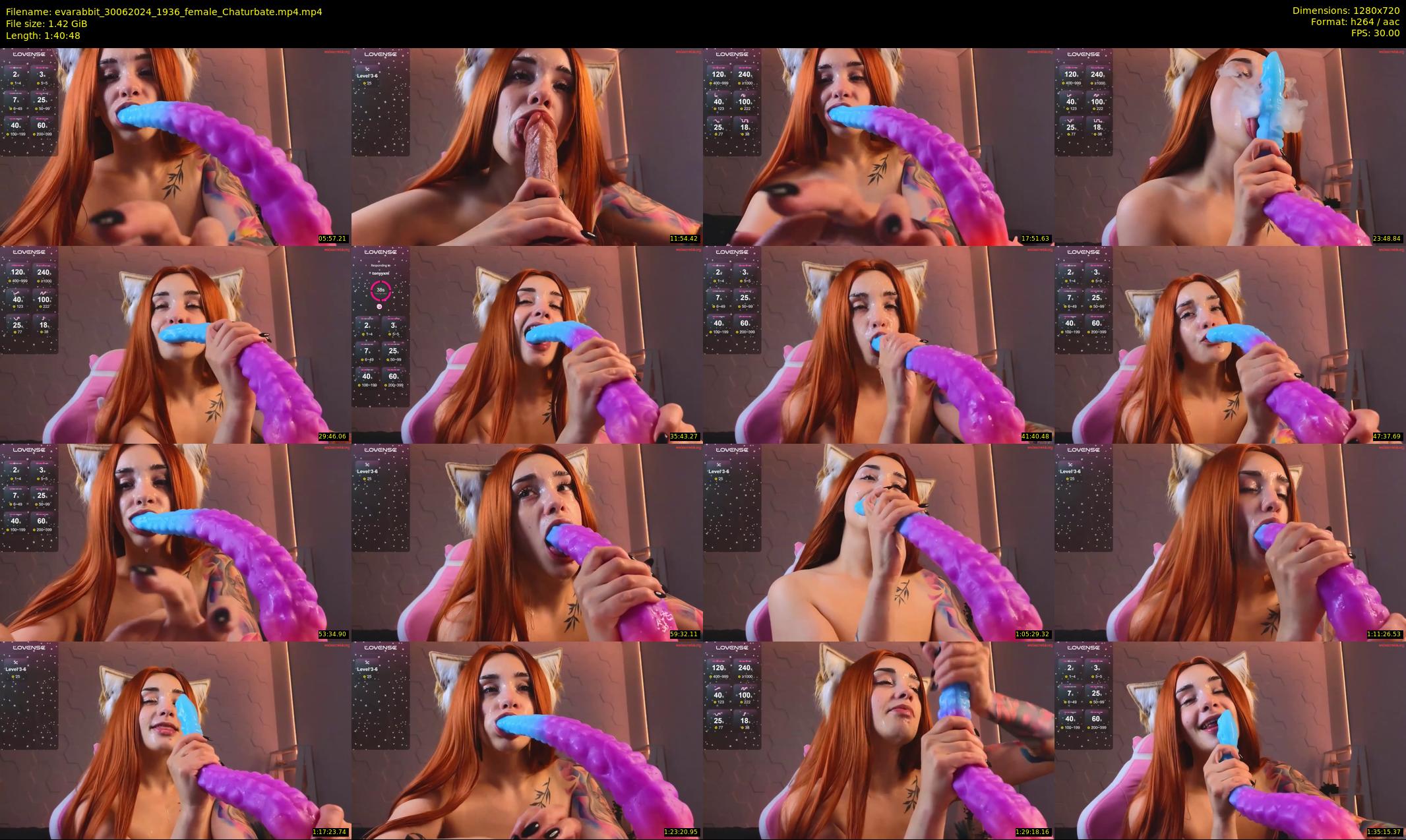 evarabbit — 101 minute Chaturbate female cam show recording, 720p, Jun 30, 2024
