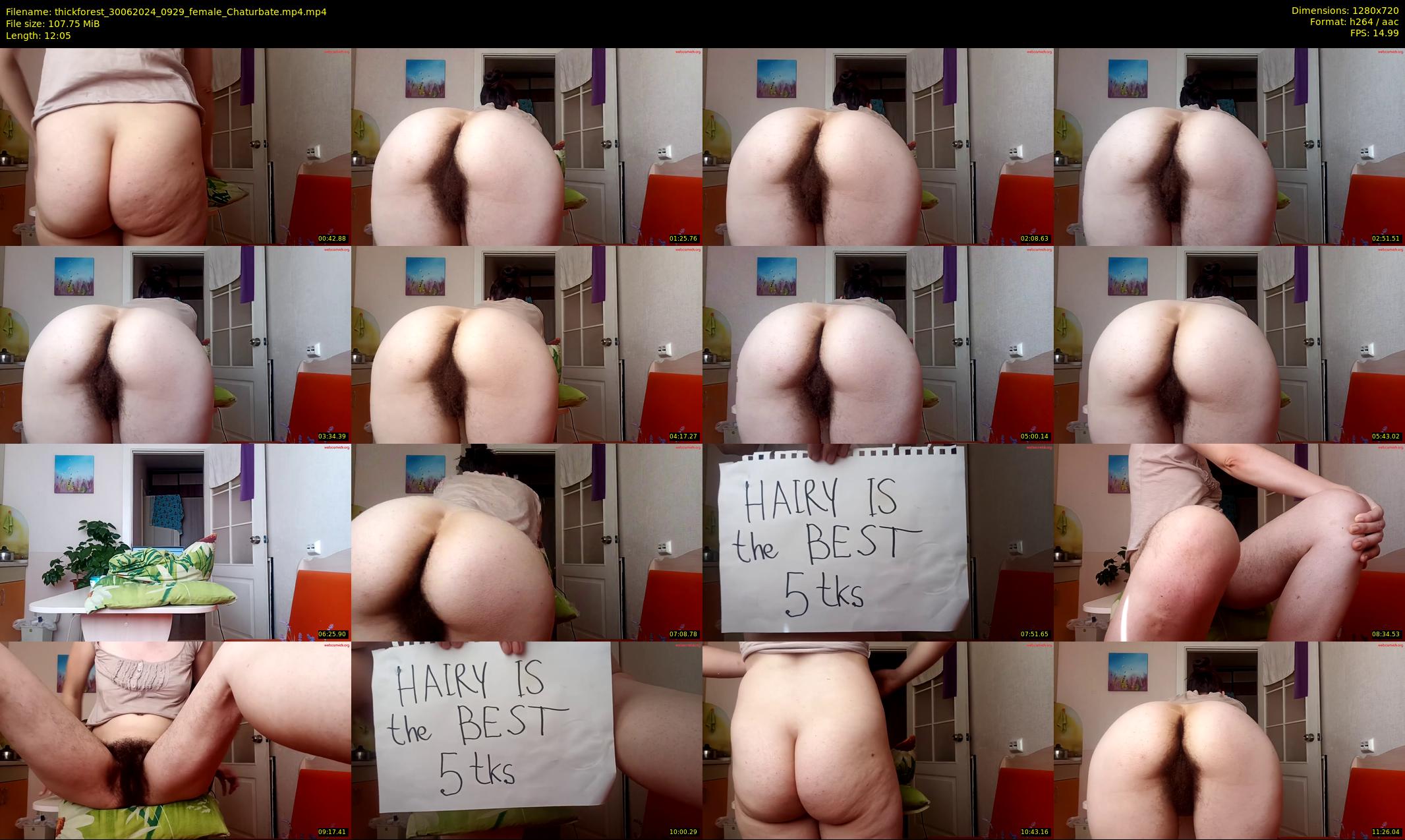 thickforest — 13 minute Chaturbate female cam show recording, 720p, Jun 30, 2024