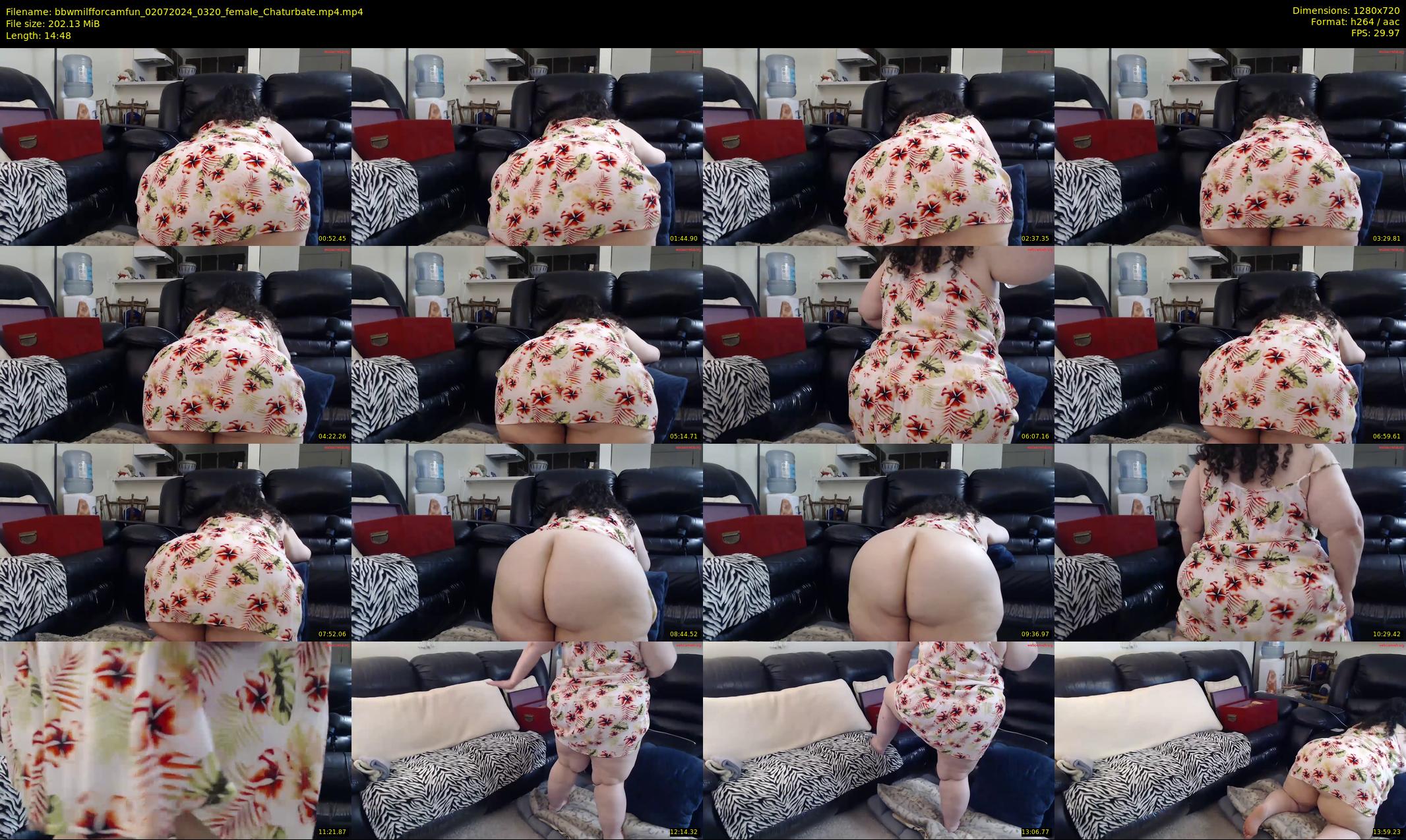 bbwmilfforcamfun — 15 minute Chaturbate female cam show recording, 720p, Jul 2, 2024
