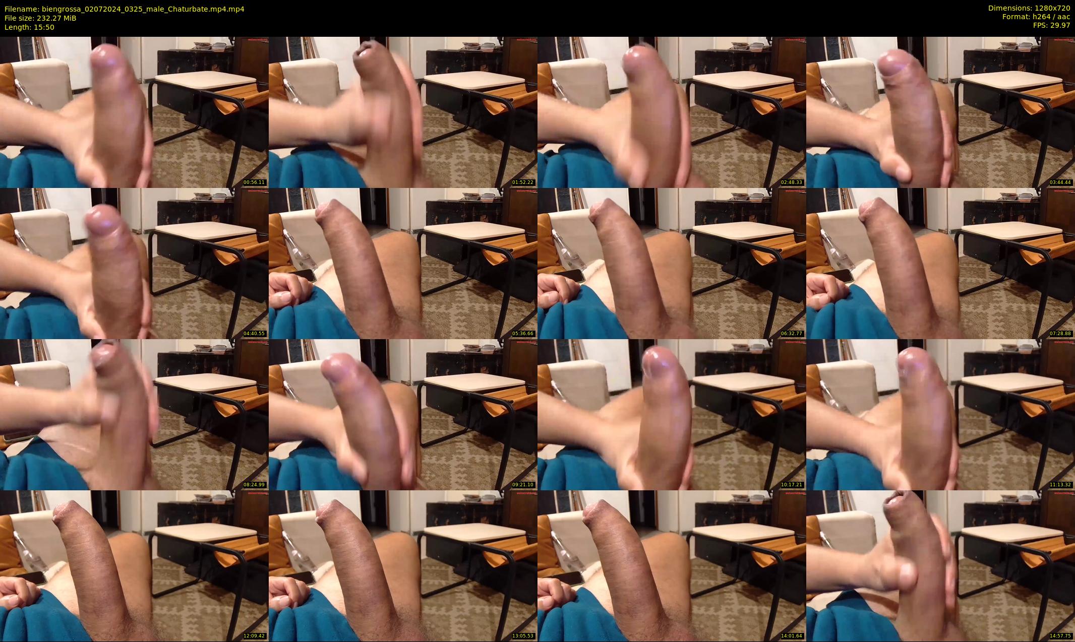 biengrossa — 16 minute Chaturbate male cam show recording, 720p, Jul 2, 2024