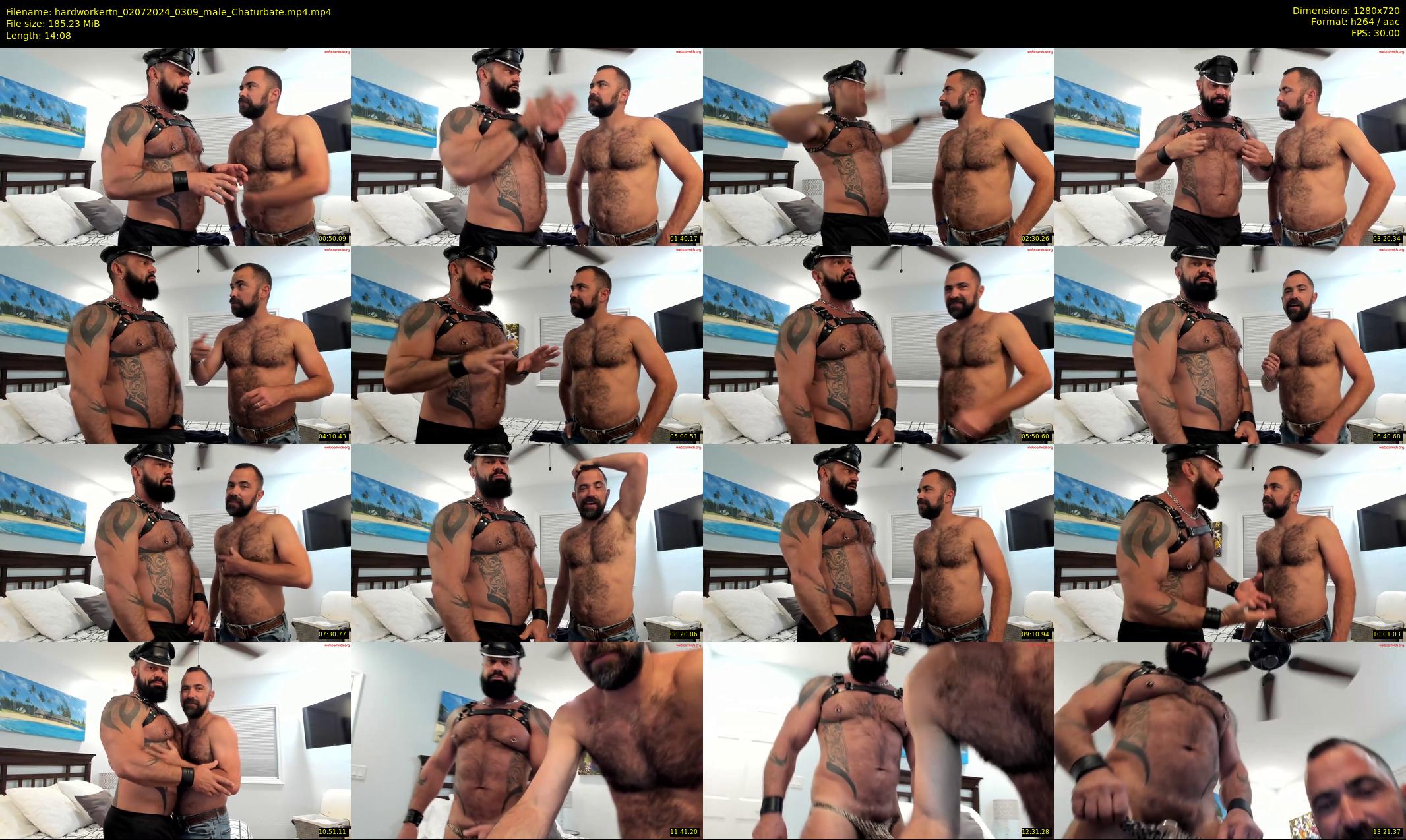 hardworkertn — 15 minute Chaturbate male cam show recording, 720p, Jul 2, 2024