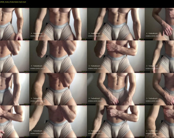 bestdick1991 — 6 minute Chaturbate male cam show recording, 720p, Jul 3, 2024
