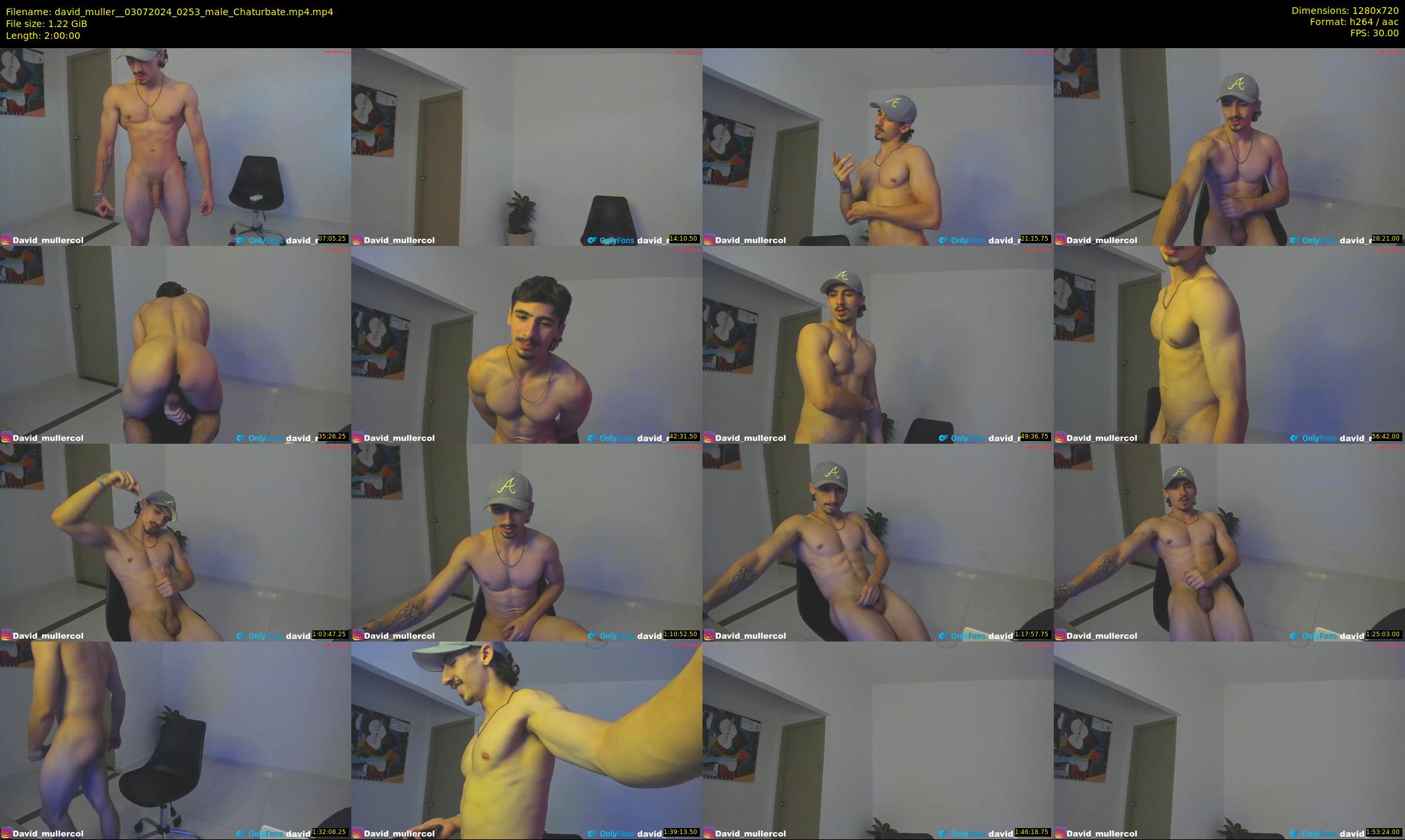 david_muller_ — 120 minute Chaturbate male cam show recording, 720p, Jul 3, 2024