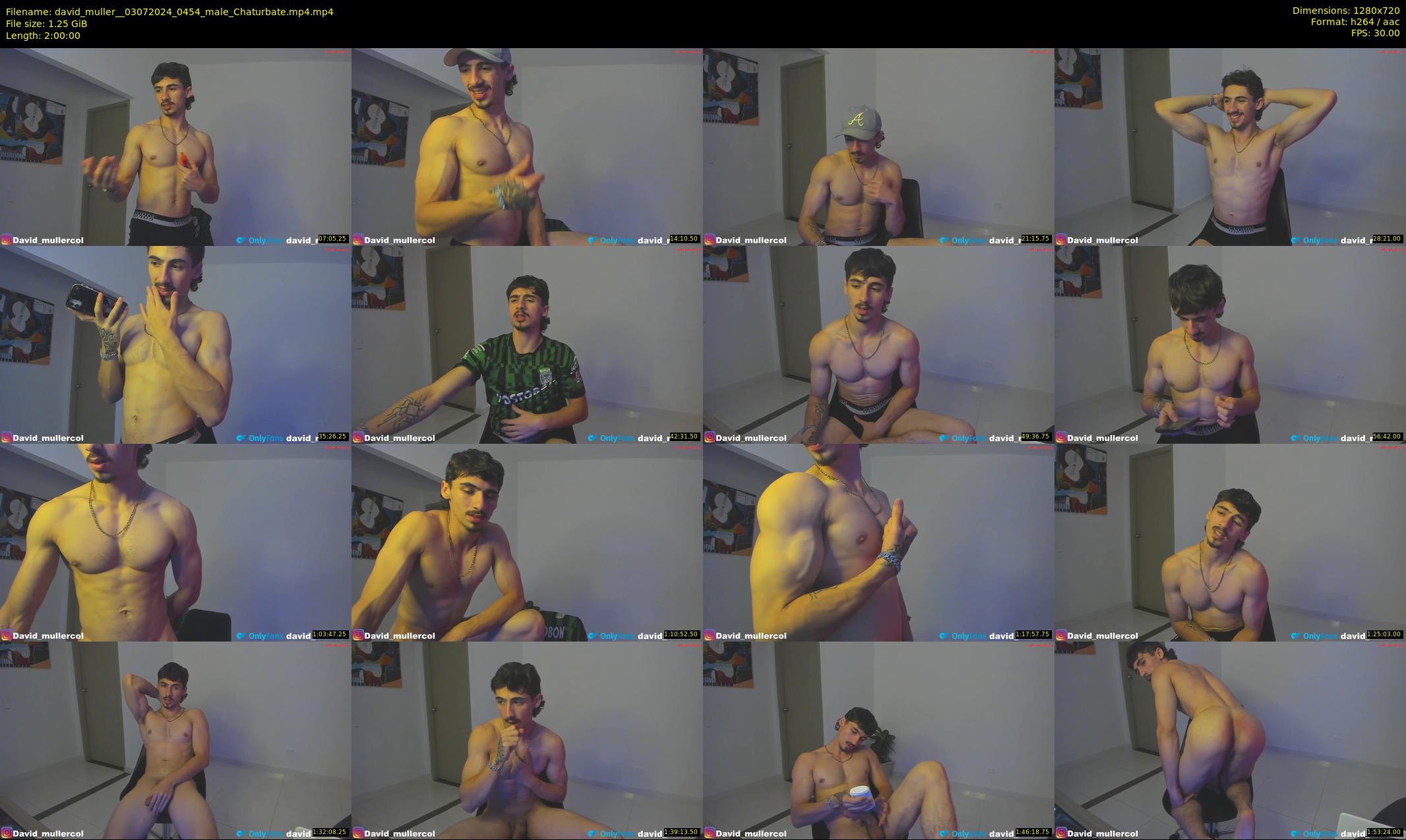 david_muller_ — 120 minute Chaturbate male cam show recording, 720p, Jul 3, 2024