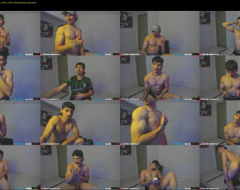 david_muller_ — 120 minute Chaturbate male cam show recording, 720p, Jul 3, 2024