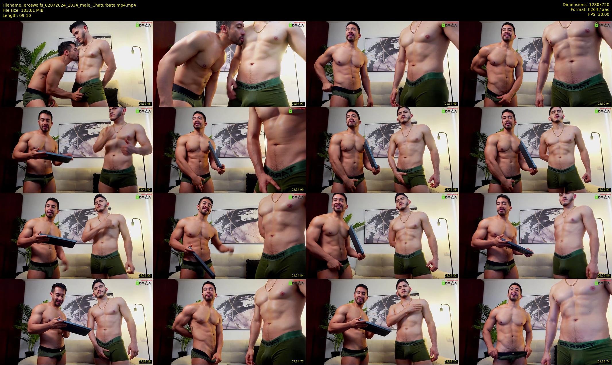 eroswolfs — 10 minute Chaturbate male cam show recording, 720p, Jul 2, 2024
