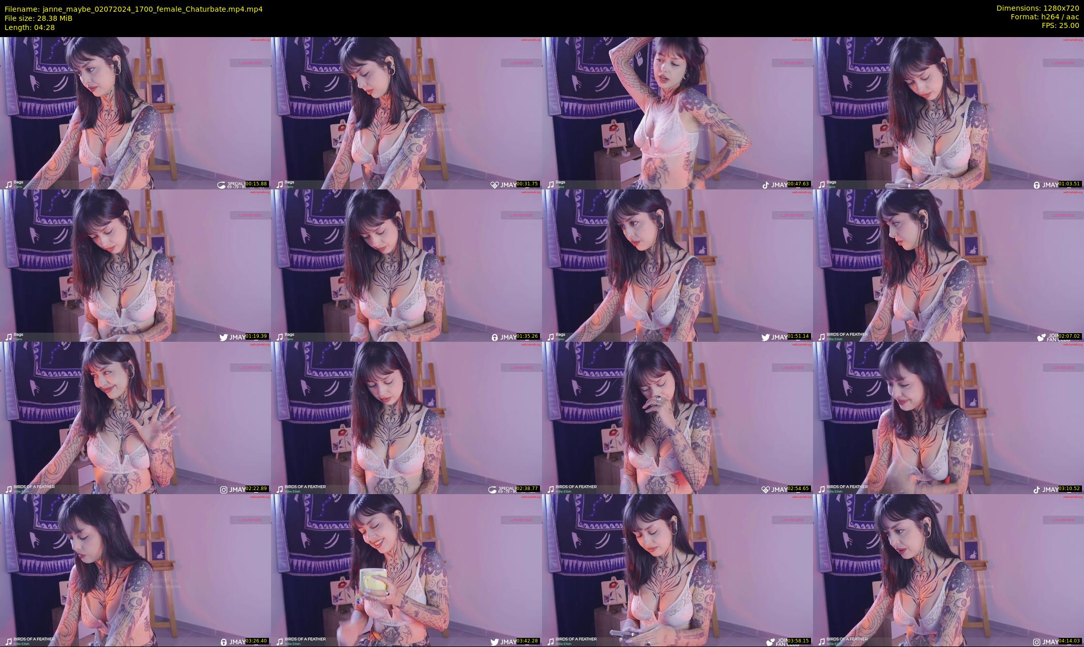janne_maybe — 5 minute Chaturbate female cam show recording, 720p, Jul 2, 2024