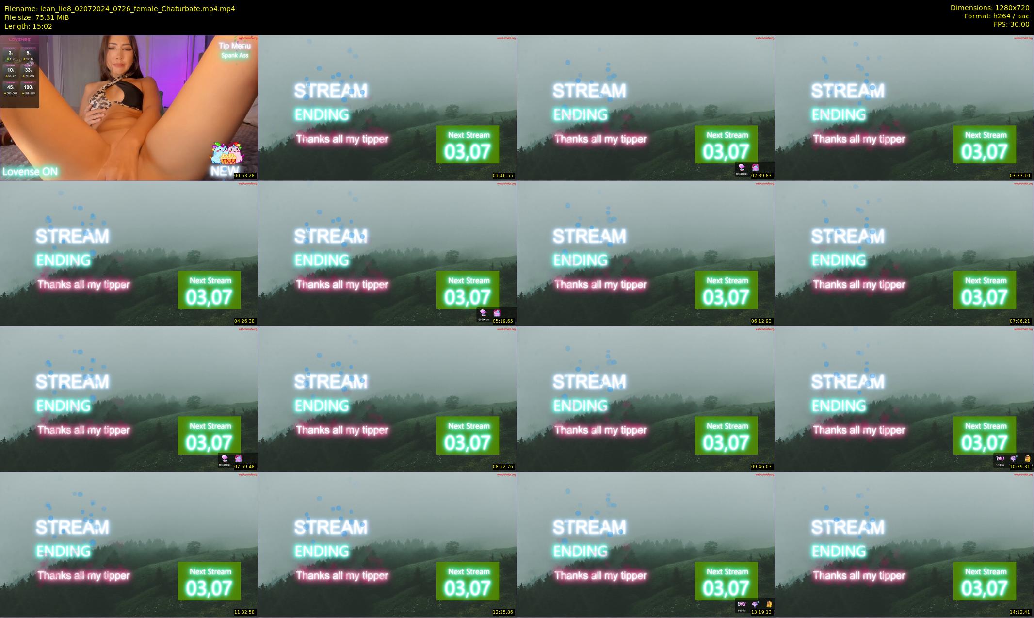 lean_lie8 — 16 minute Chaturbate female cam show recording, 720p, Jul 2, 2024