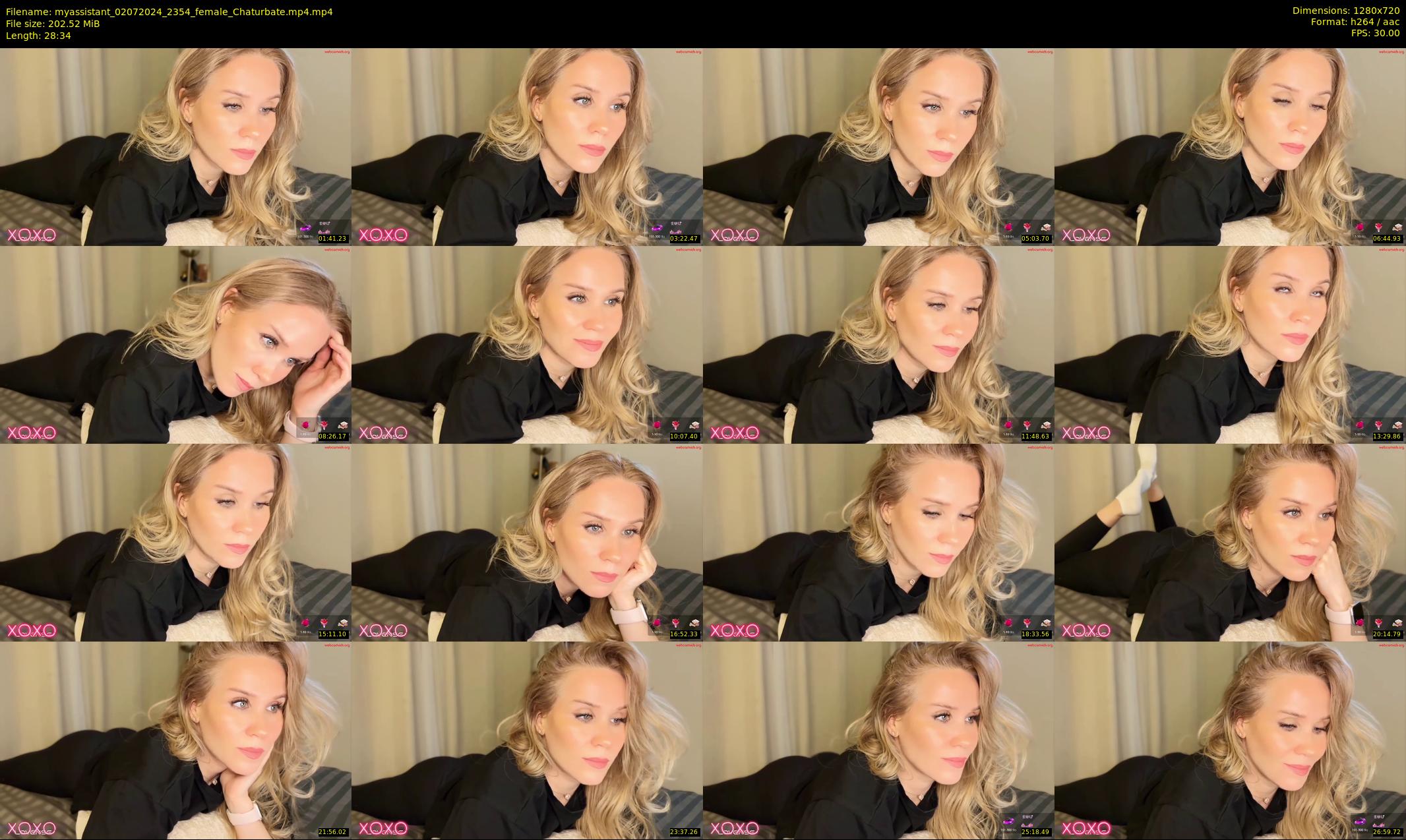 myassistant — 29 minute Chaturbate female cam show recording, 720p, Jul 2, 2024