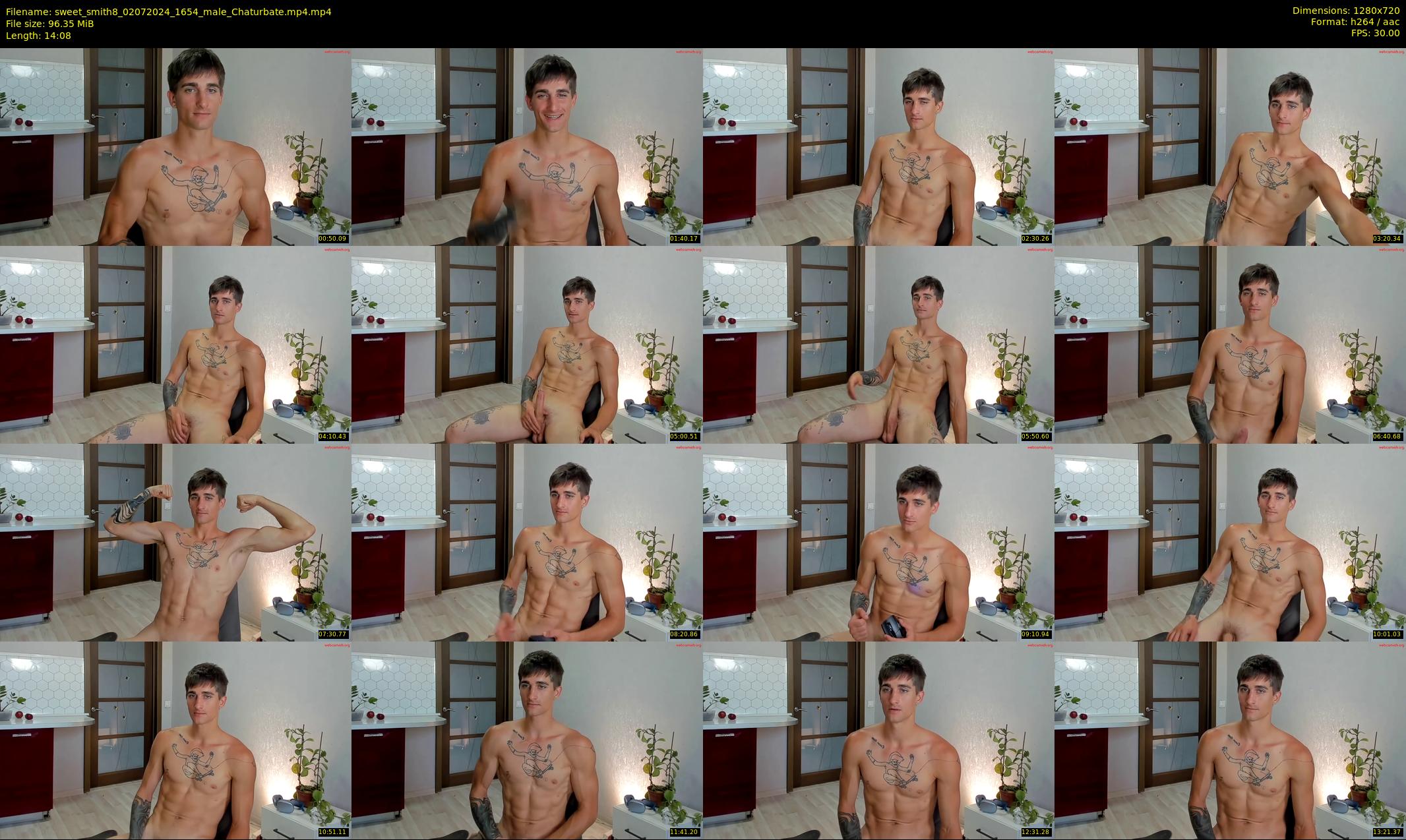 sweet_smith8 — 15 minute Chaturbate male cam show recording, 720p, Jul 2, 2024