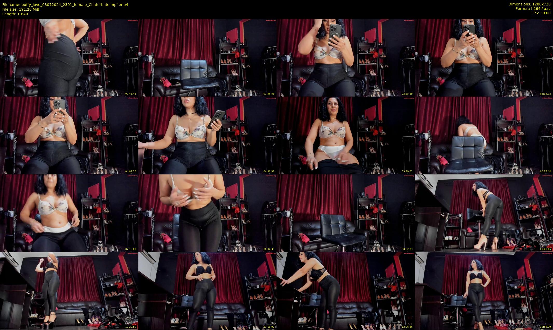 puffy_love — 14 minute Chaturbate female cam show recording, 720p, Jul 3, 2024