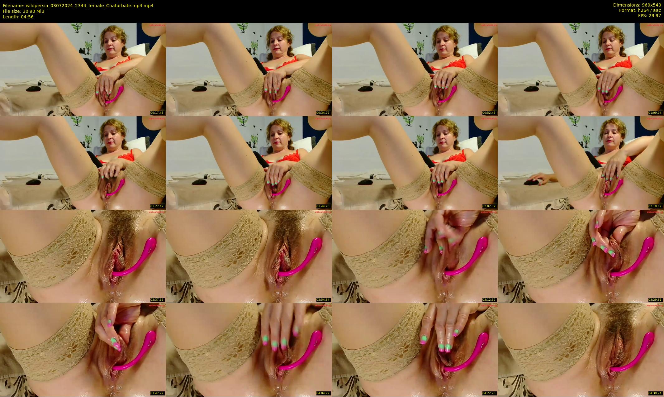 wildpersia — 5 minute Chaturbate female cam show recording, 480p, Jul 3, 2024