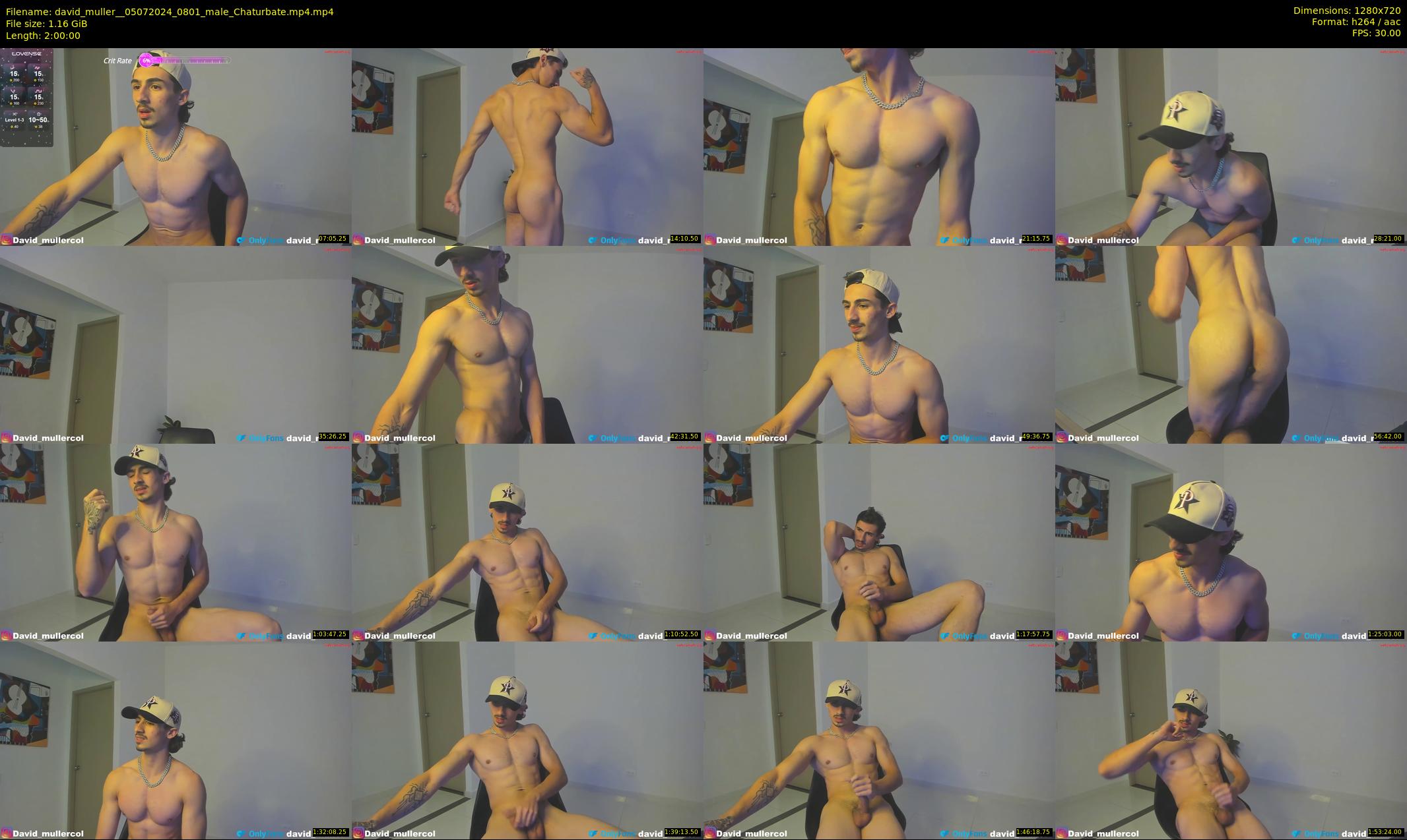 david_muller_ — 120 minute Chaturbate male cam show recording, 720p, Jul 5, 2024