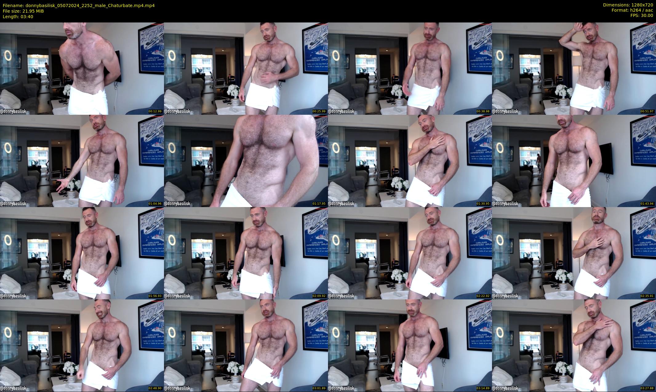 donnybasilisk — 4 minute Chaturbate male cam show recording, 720p, Jul 5, 2024