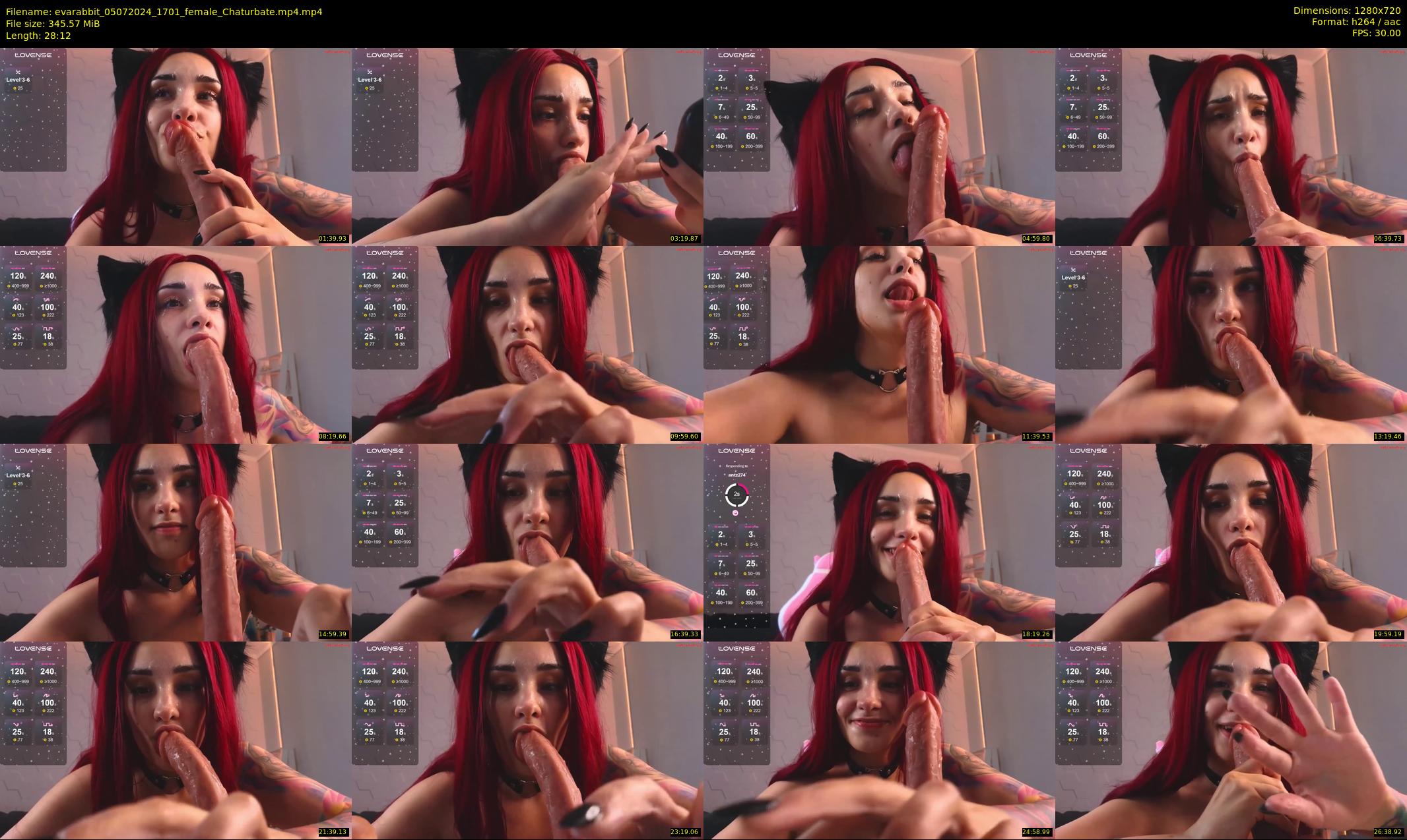 evarabbit — 29 minute Chaturbate female cam show recording, 720p, Jul 5, 2024