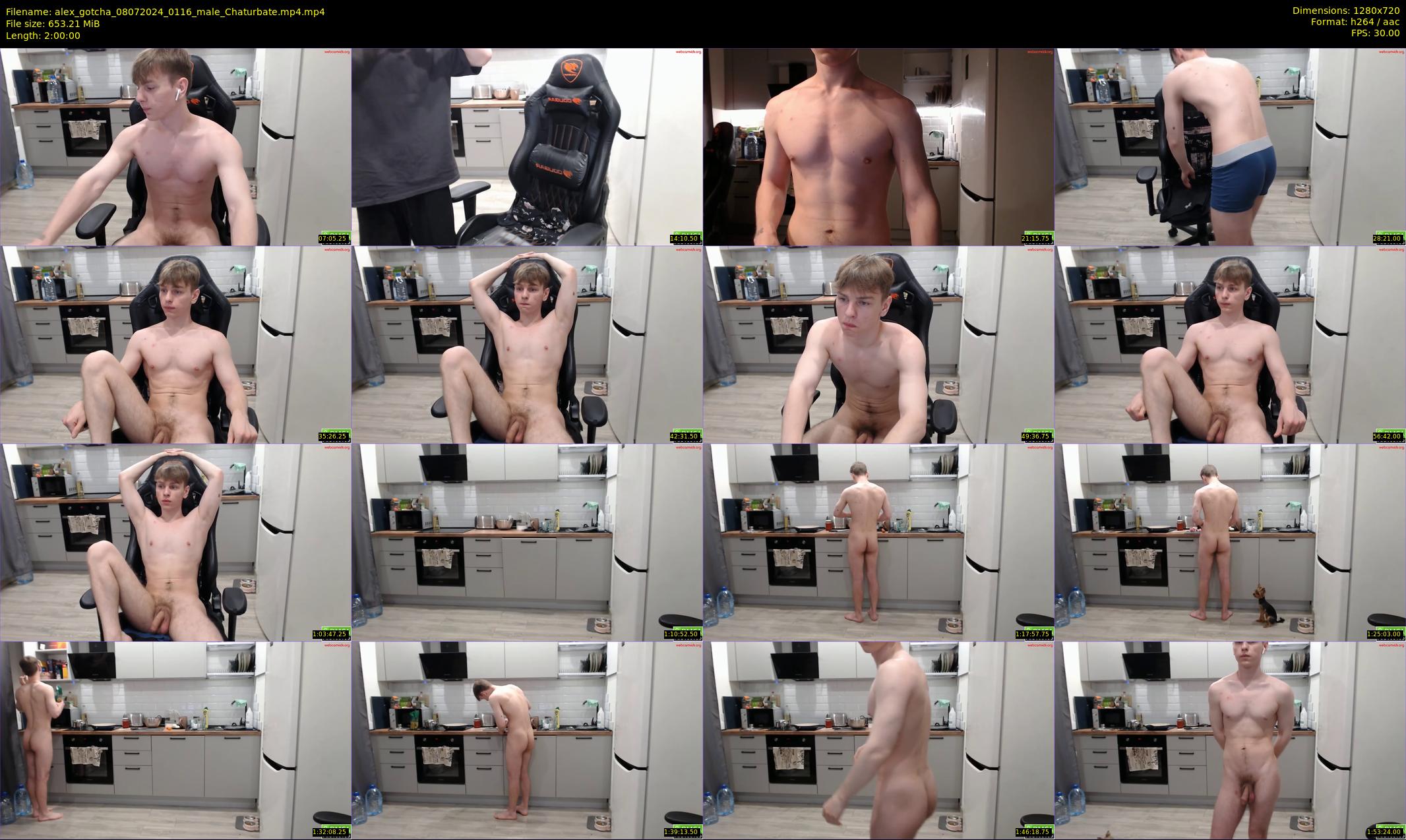 alex_gotcha — 120 minute Chaturbate male cam show recording, 720p, Jul 8, 2024