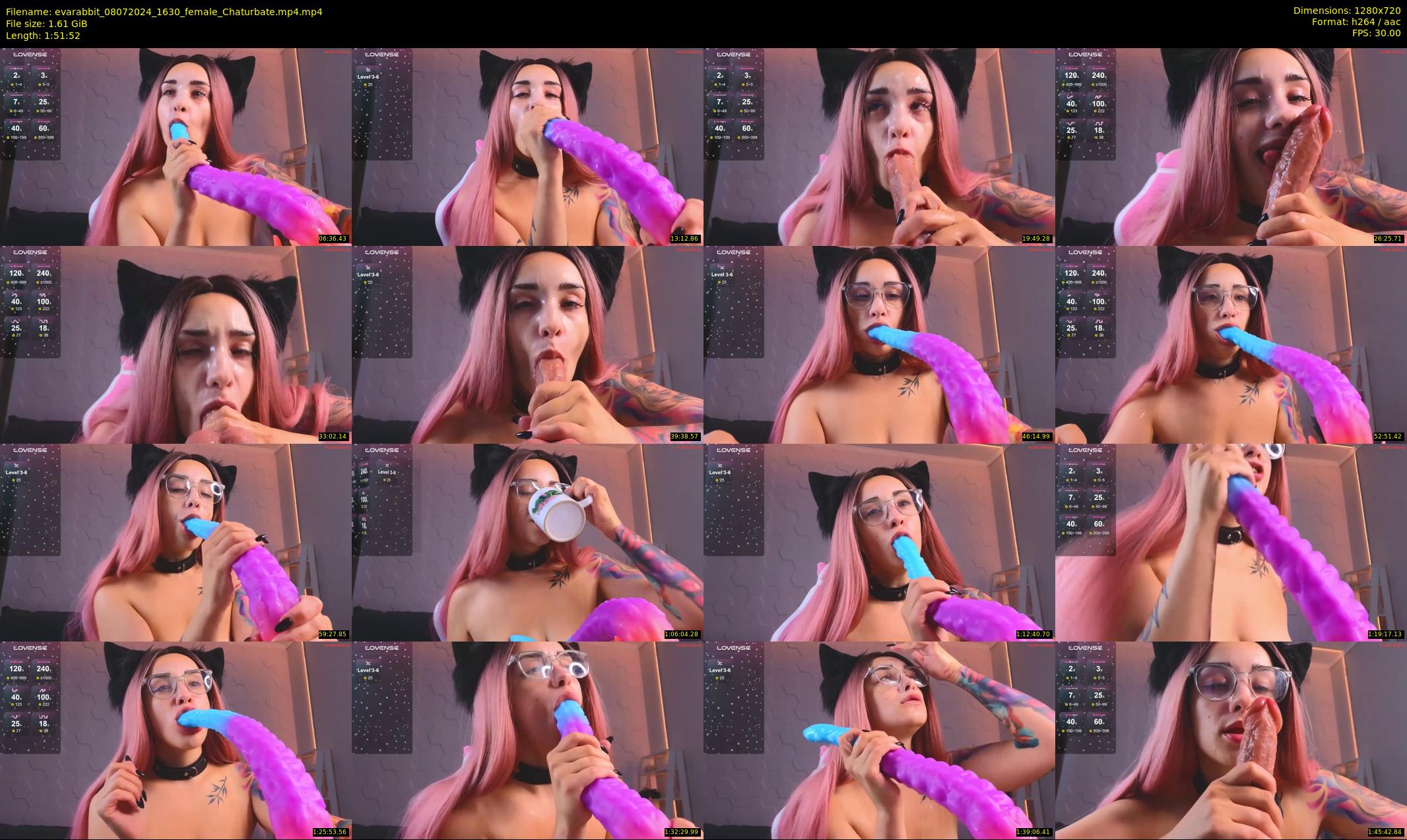 evarabbit — 112 minute Chaturbate female cam show recording, 720p, Jul 8, 2024