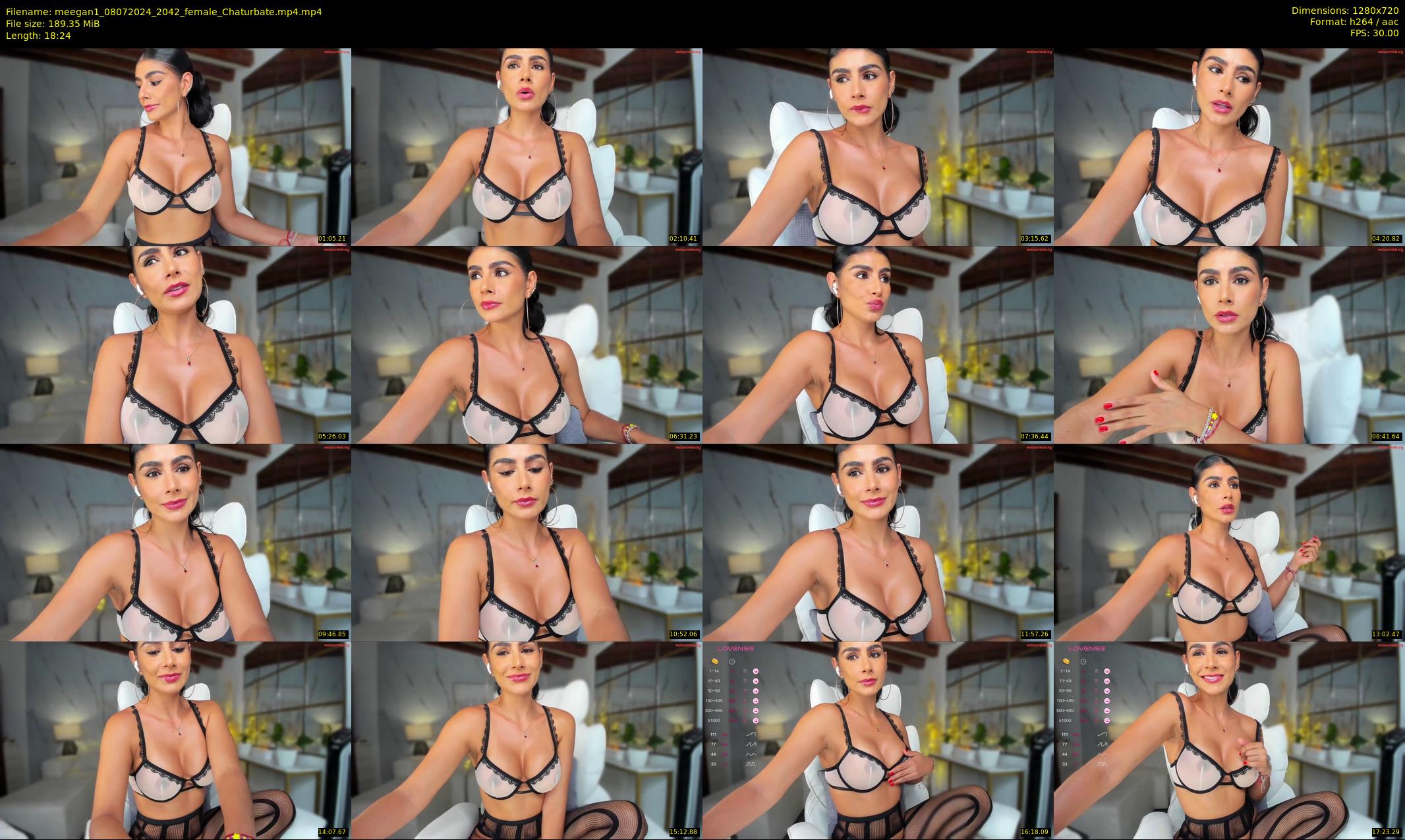 meegan1 — 19 minute Chaturbate female cam show recording, 720p, Jul 8, 2024