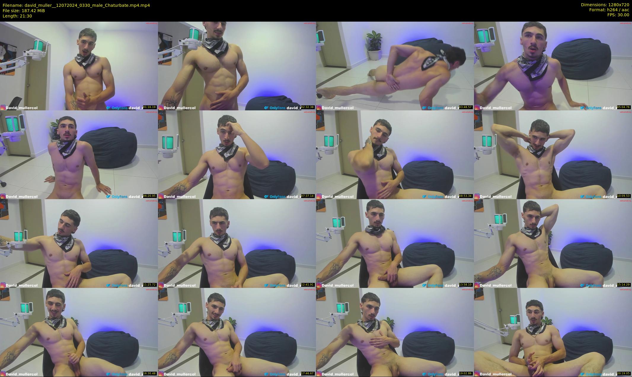 david_muller_ — 22 minute Chaturbate male cam show recording, 720p, Jul 12, 2024