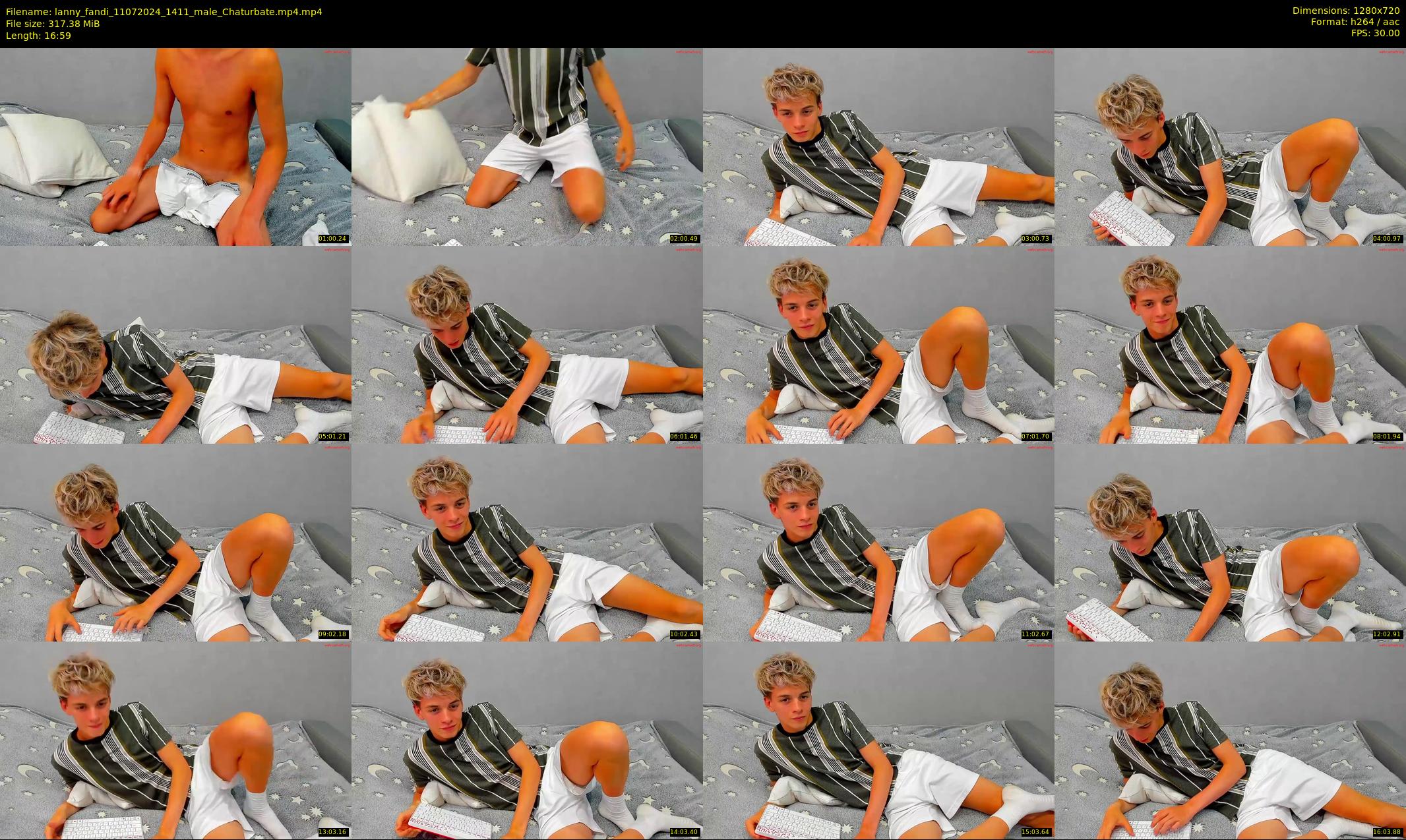 lanny_fandi — 17 minute Chaturbate male cam show recording, 720p, Jul 11, 2024