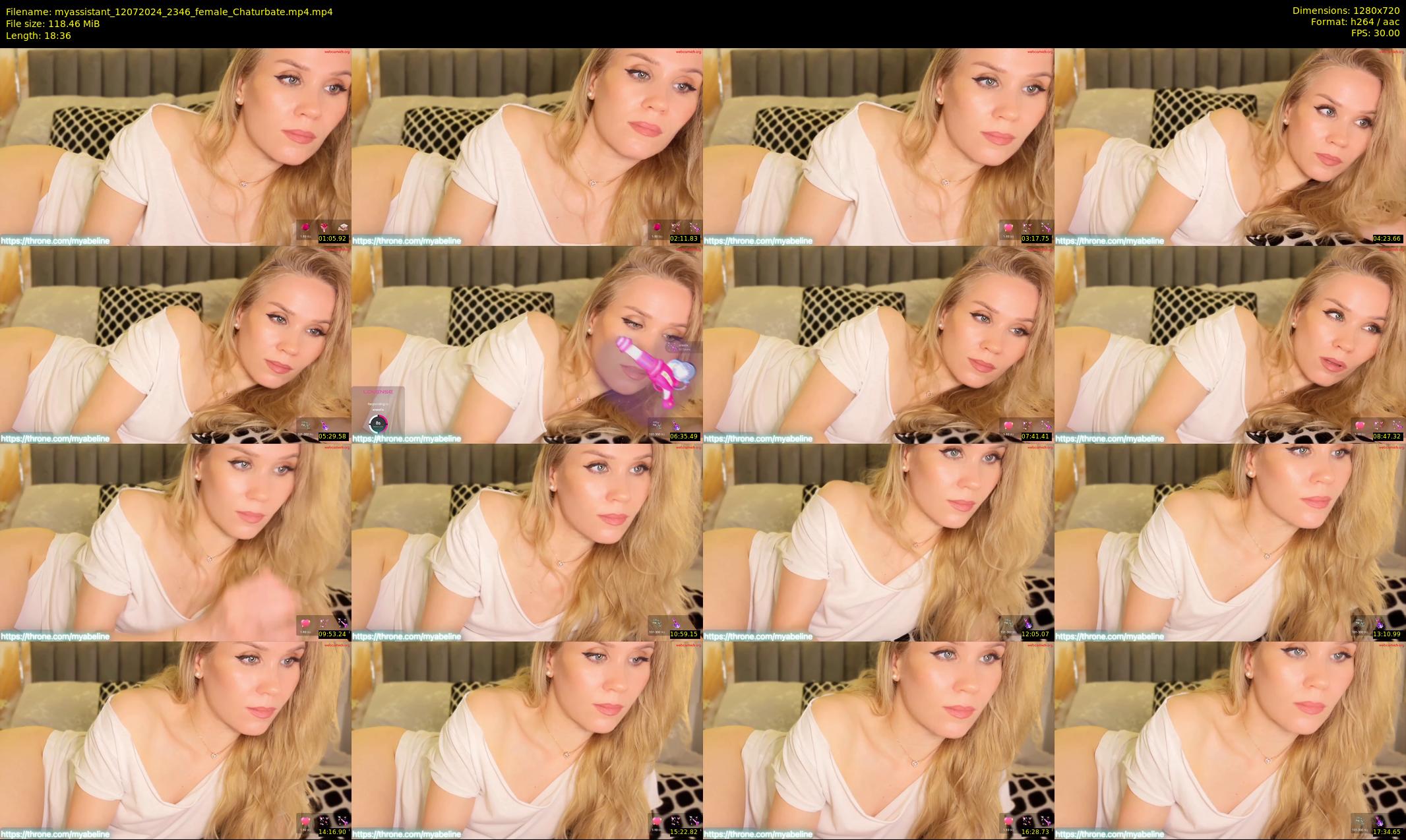 myassistant — 19 minute Chaturbate female cam show recording, 720p, Jul 12, 2024