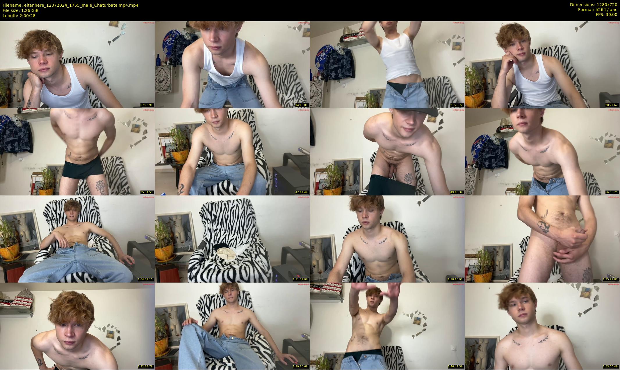 eitanhere — 121 minute Chaturbate male cam show recording, 720p, Jul 12, 2024
