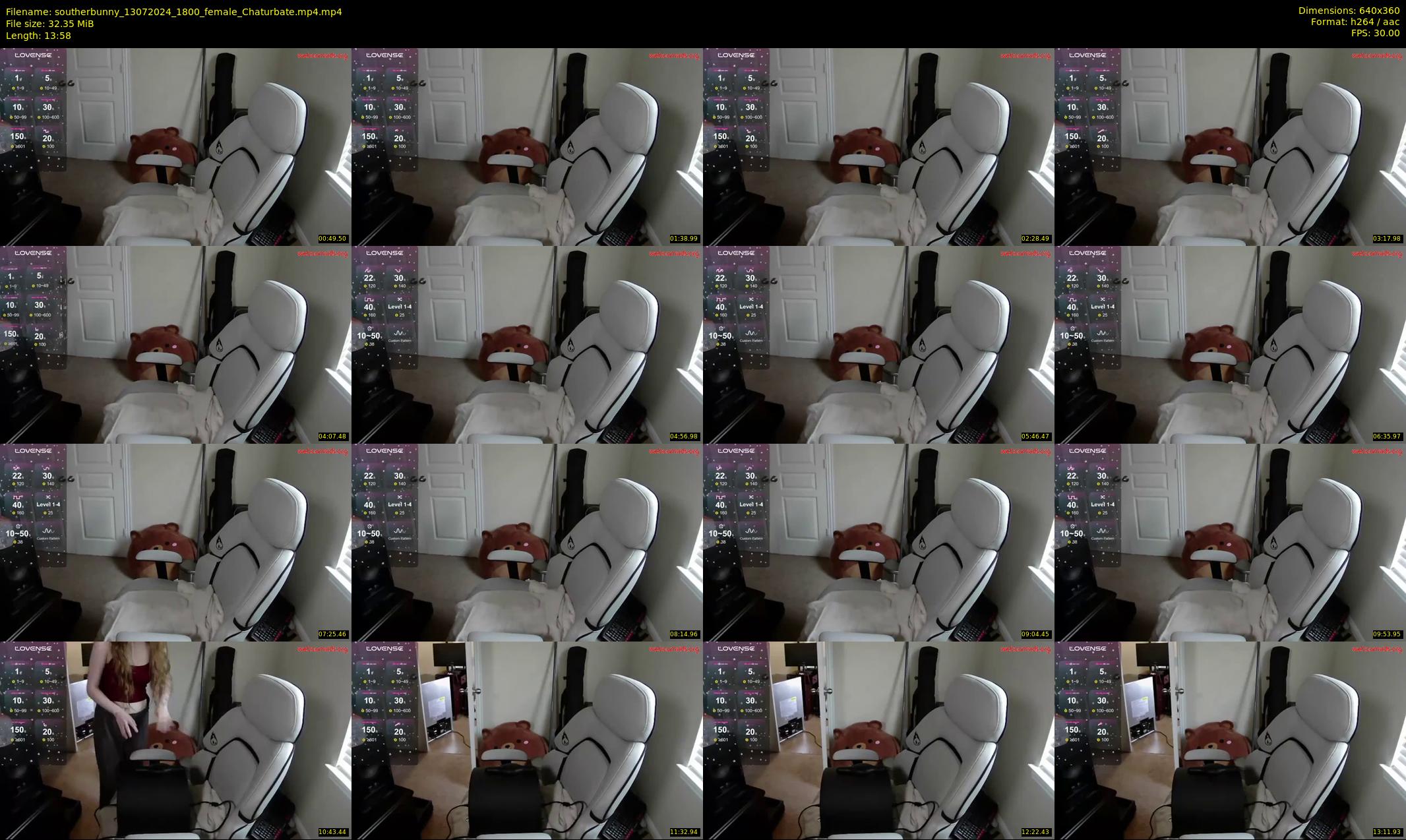 southerbunny — 14 minute Chaturbate female cam show recording, 360p, Jul 13, 2024