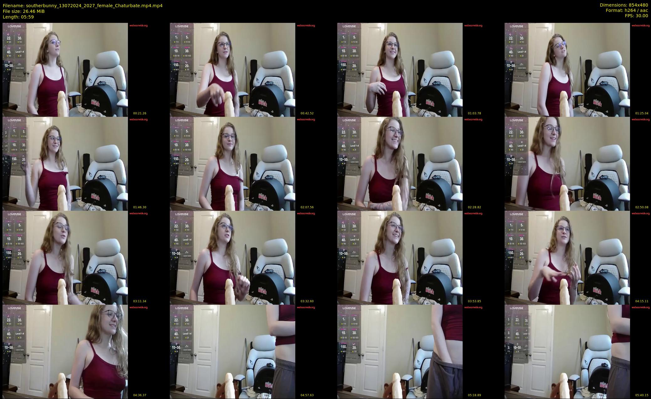 southerbunny — 6 minute Chaturbate female cam show recording, 480p, Jul 13, 2024
