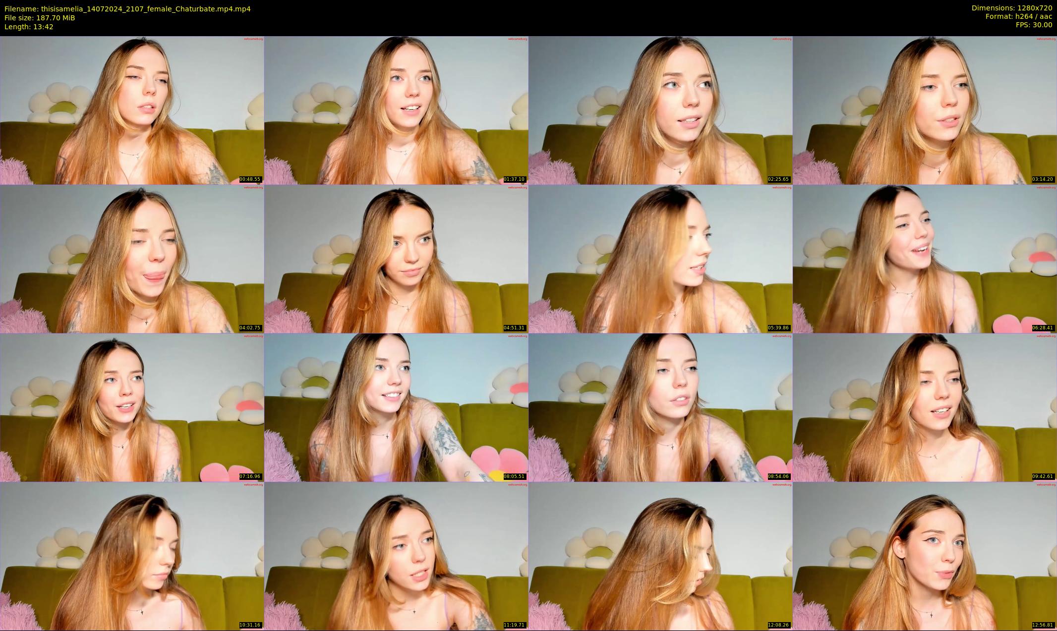 thisisamelia — 14 minute Chaturbate female cam show recording, 720p, Jul 14, 2024