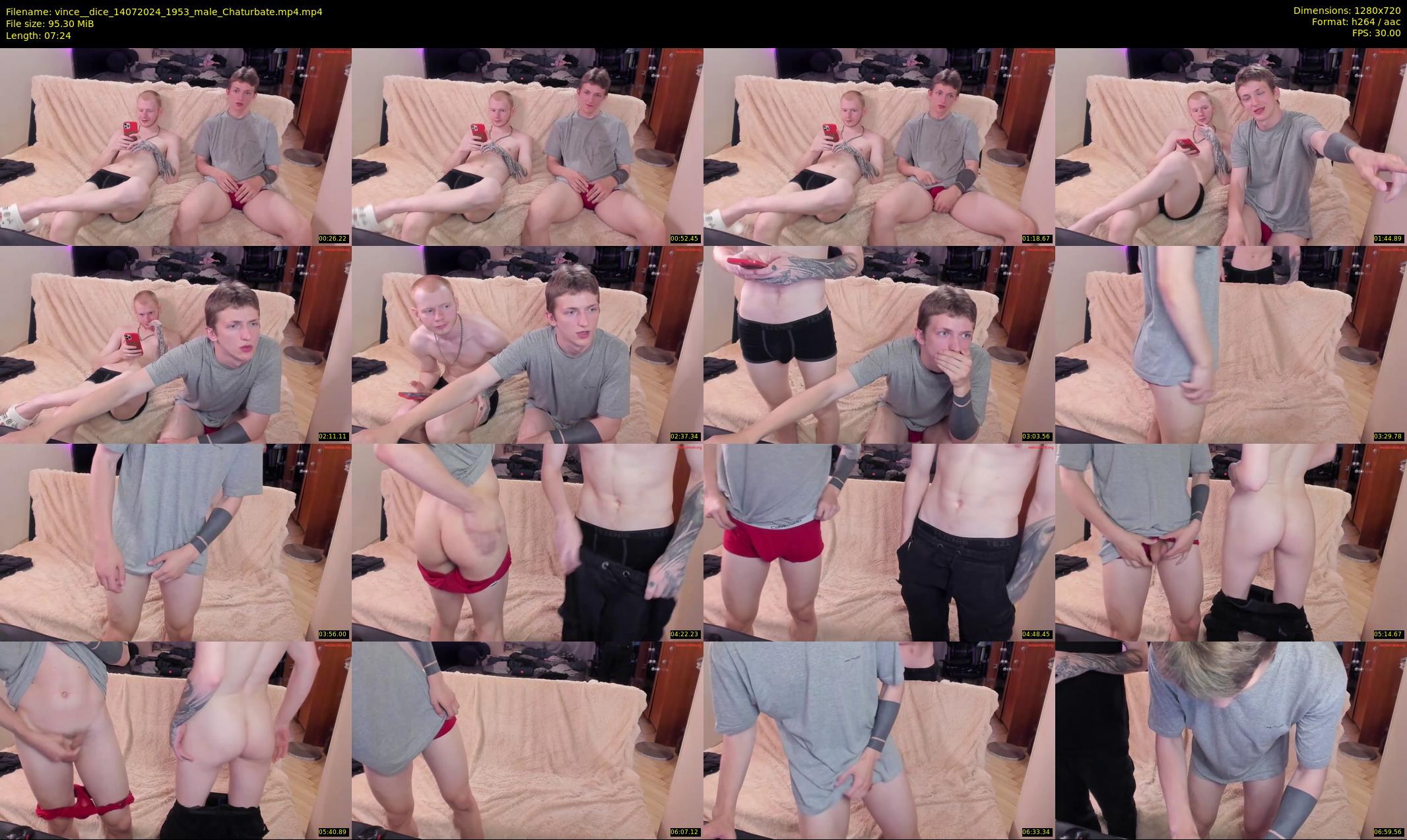vince__dice — 8 minute Chaturbate male cam show recording, 720p, Jul 14, 2024