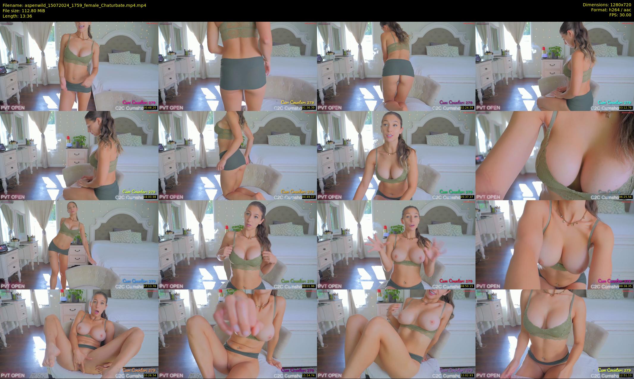 aspenwild — 14 minute Chaturbate female cam show recording, 720p, Jul 15, 2024