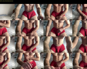 bestdick1991 — 14 minute Chaturbate male cam show recording, 720p, Jul 16, 2024