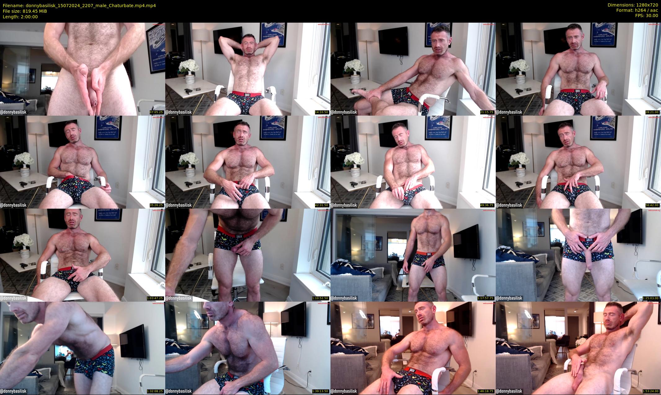 donnybasilisk — 120 minute Chaturbate male cam show recording, 720p, Jul 15, 2024