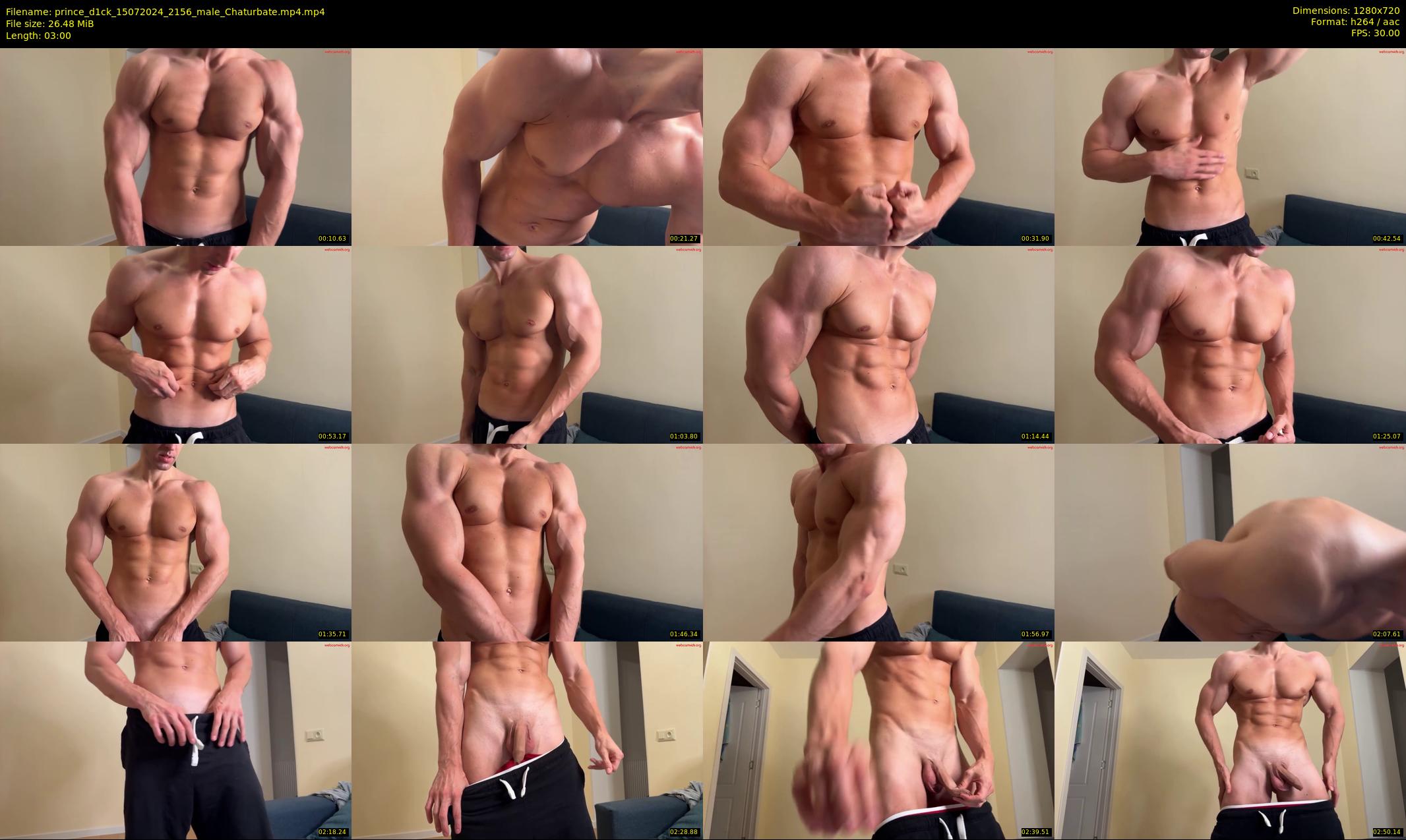 prince_d1ck — 3 minute Chaturbate male cam show recording, 720p, Jul 15, 2024