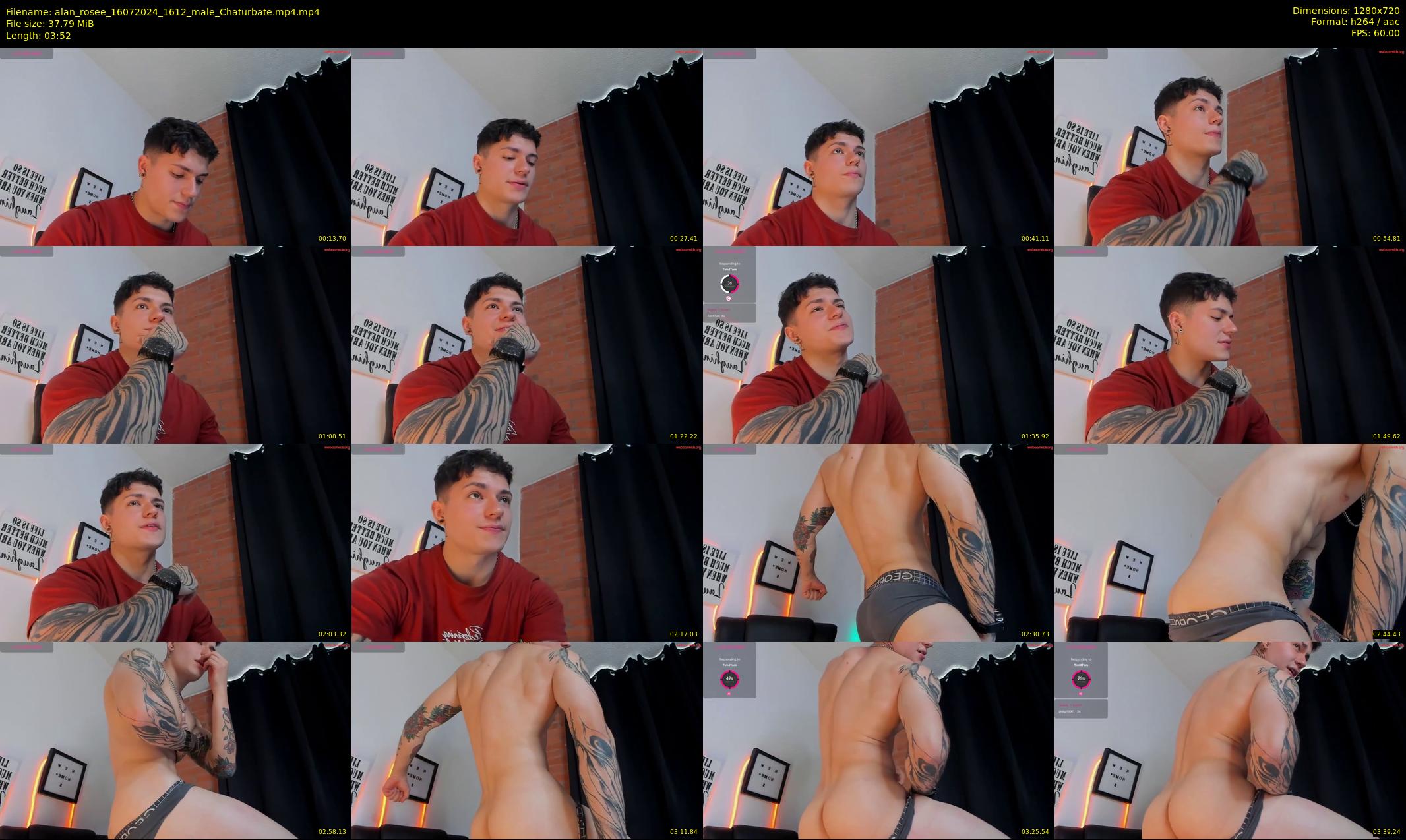 alan_rosee — 4 minute Chaturbate male cam show recording, 720p, Jul 16, 2024