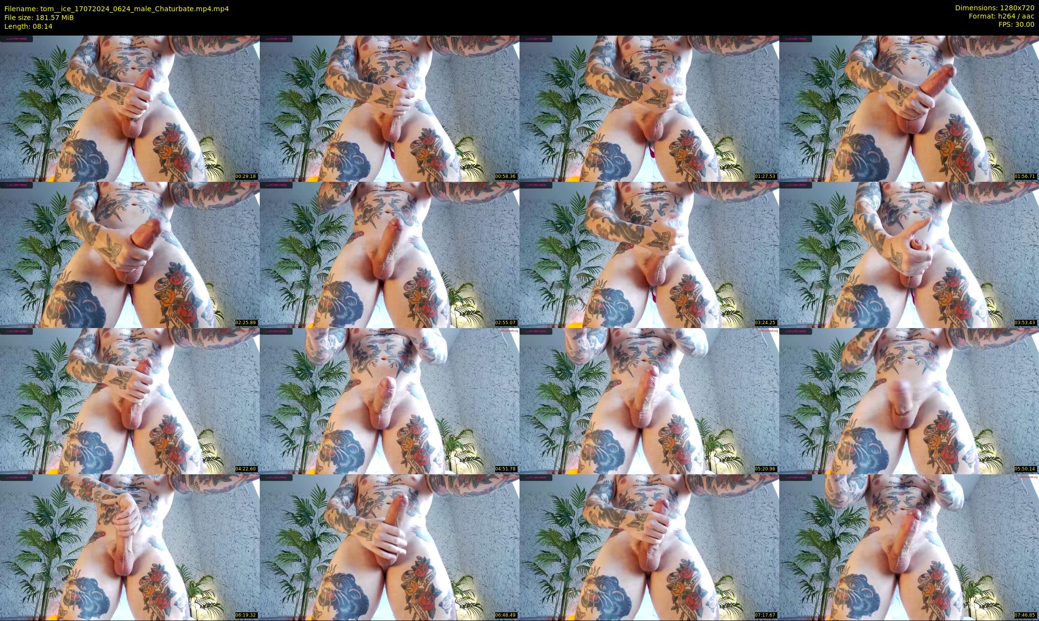 tom__ice — 9 minute Chaturbate male cam show recording, 720p, Jul 17, 2024