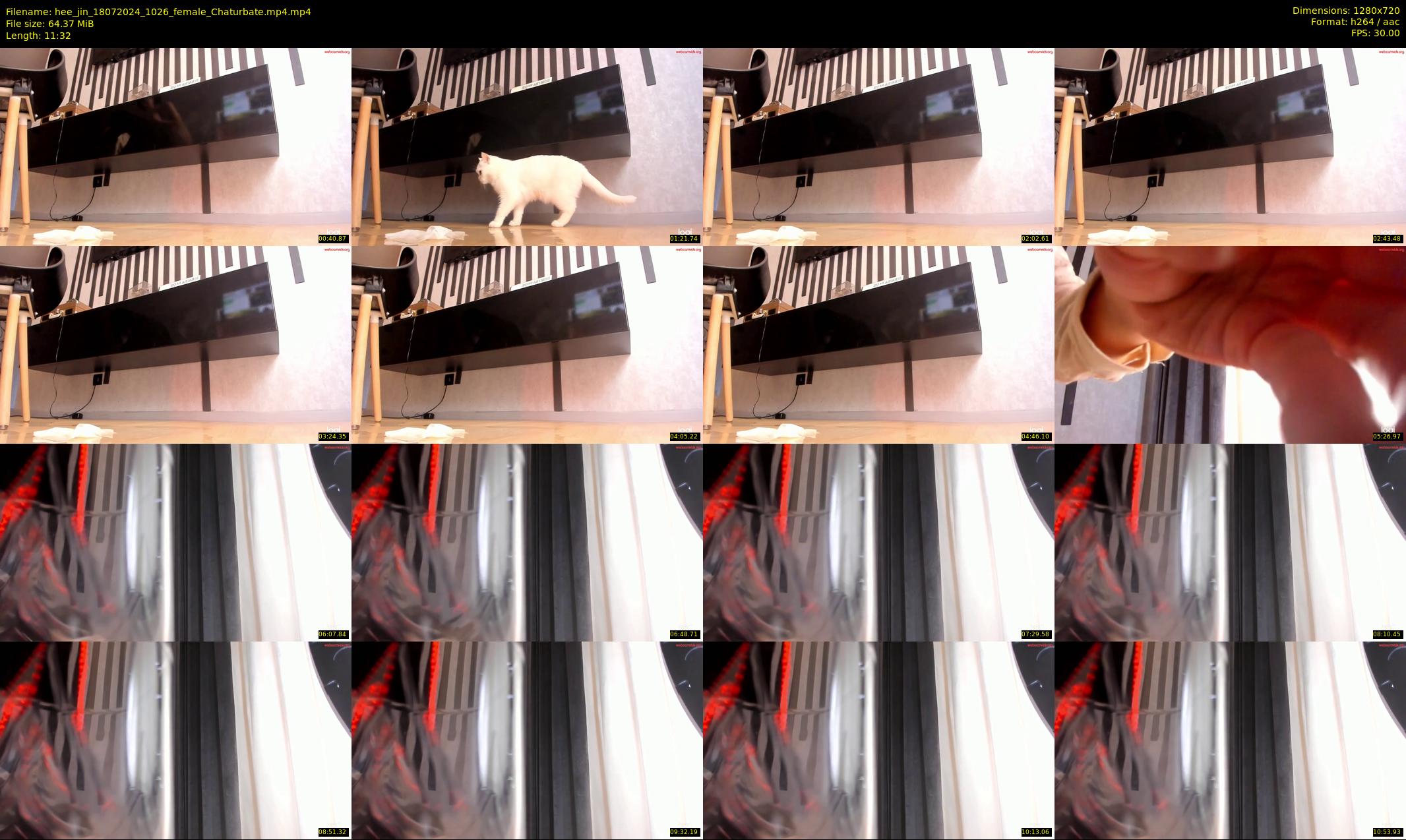hee_jin — 12 minute Chaturbate female cam show recording, 720p, Jul 18, 2024