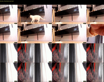 hee_jin — 12 minute Chaturbate female cam show recording, 720p, Jul 18, 2024