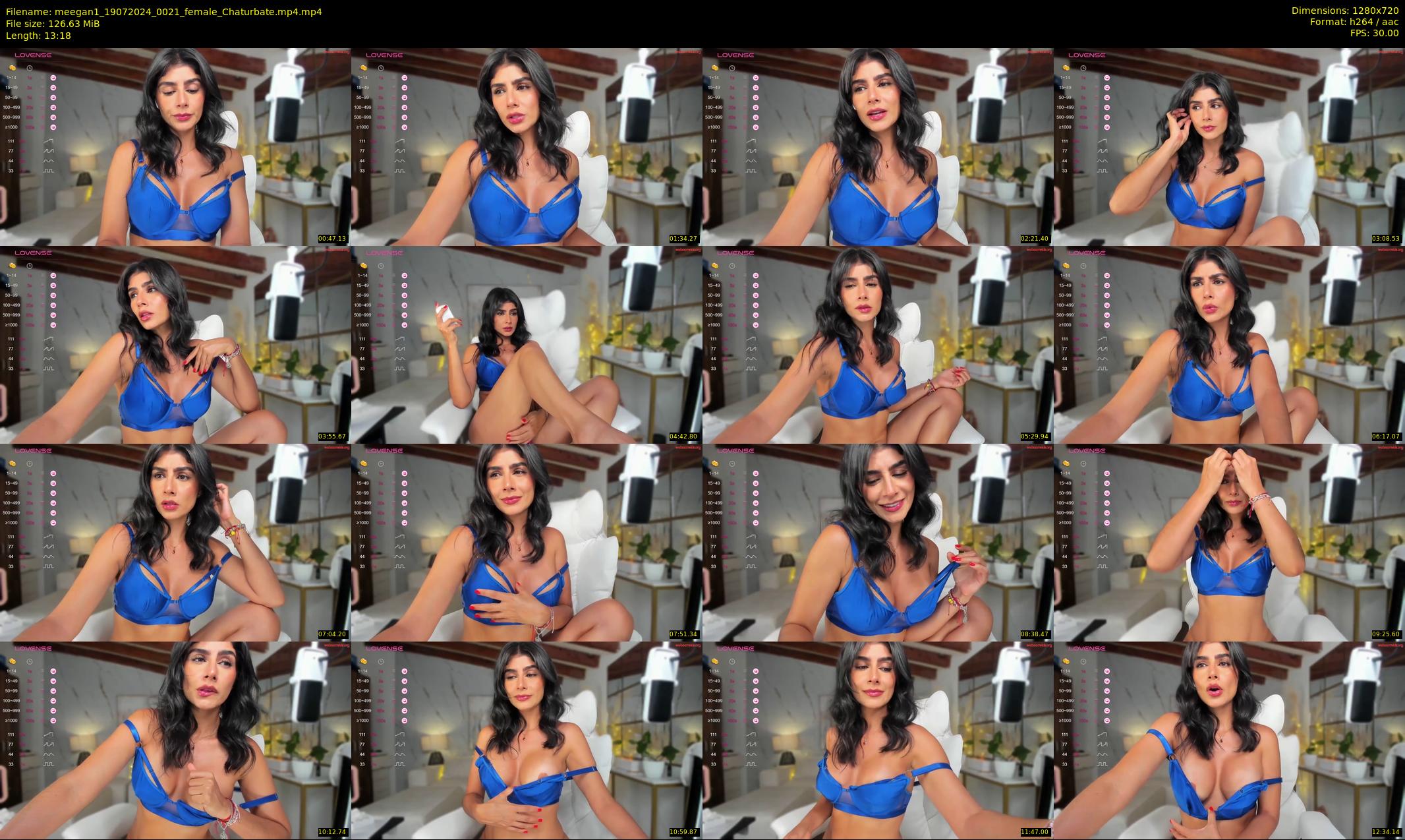 meegan1 — 14 minute Chaturbate female cam show recording, 720p, Jul 19, 2024