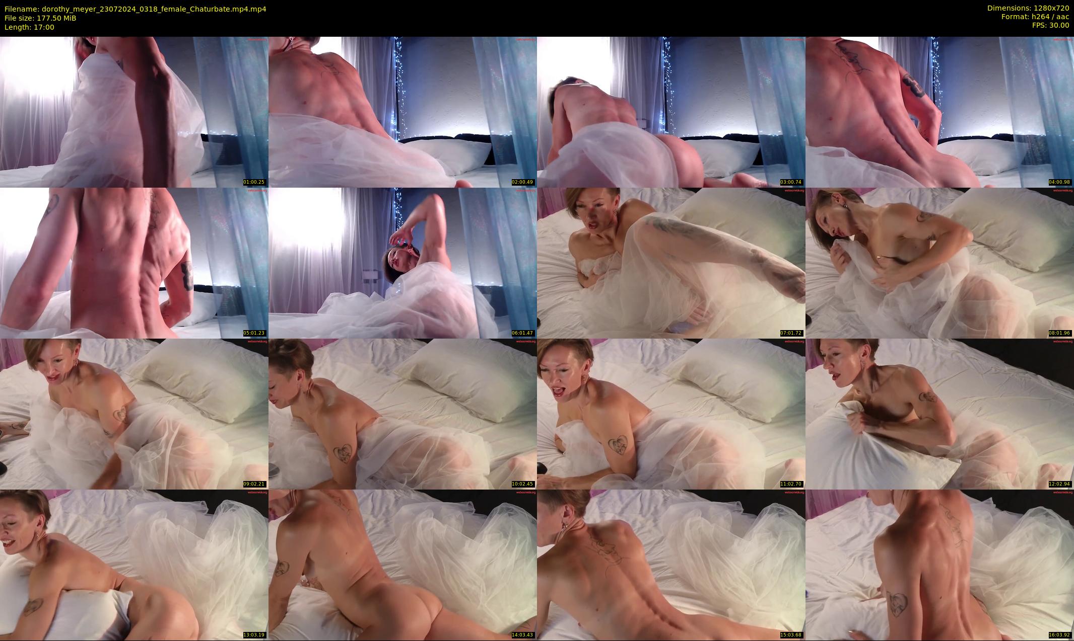 dorothy_meyer — 17 minute Chaturbate female cam show recording, 720p, Jul 23, 2024