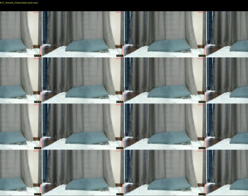 shyeve2004 — 6 minute Chaturbate female cam show recording, 480p, Jul 22, 2024
