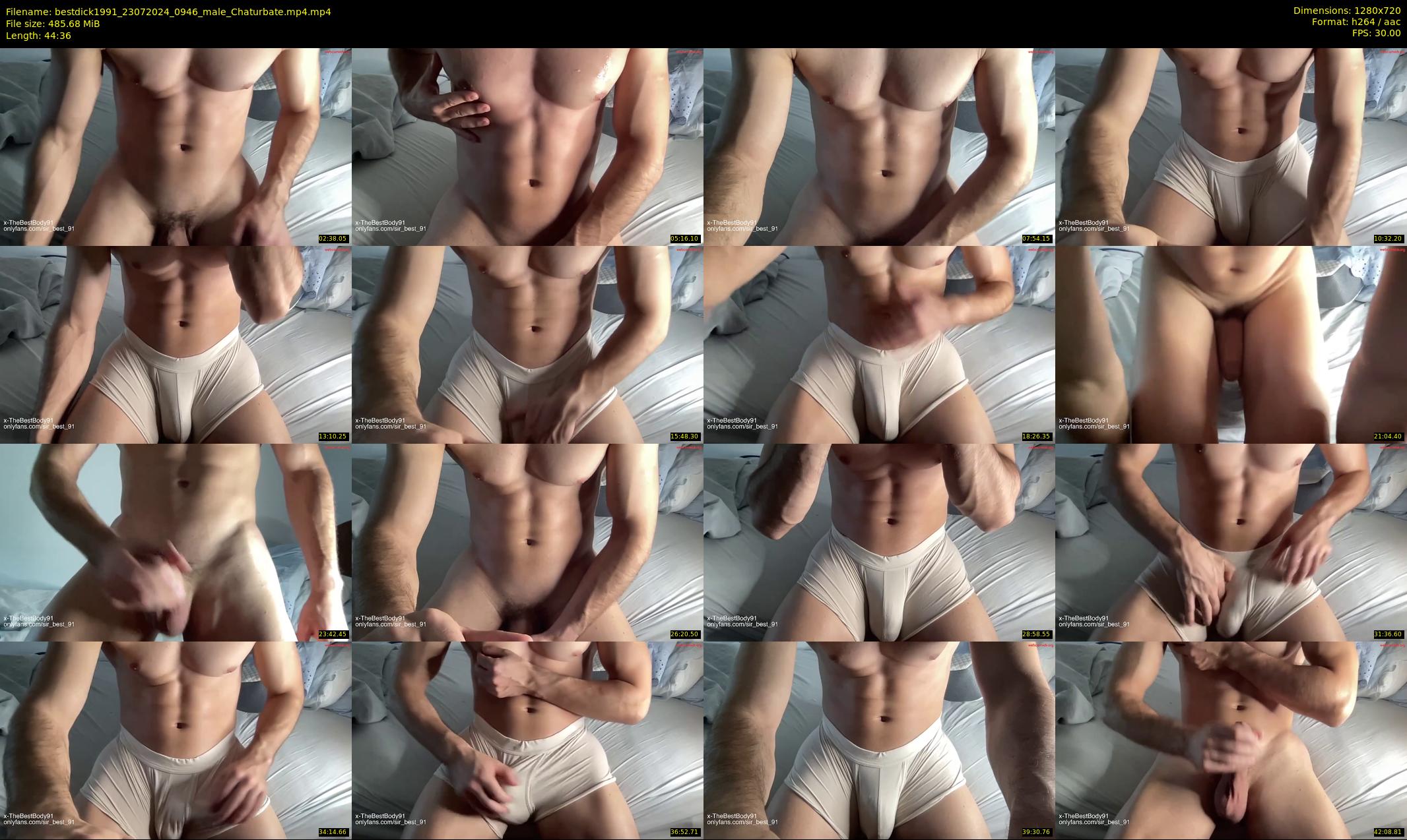 bestdick1991 — 45 minute Chaturbate male cam show recording, 720p, Jul 23, 2024