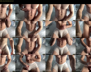 bestdick1991 — 45 minute Chaturbate male cam show recording, 720p, Jul 23, 2024