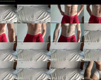 bestdick1991 — 11 minute Chaturbate male cam show recording, 720p, Jul 23, 2024