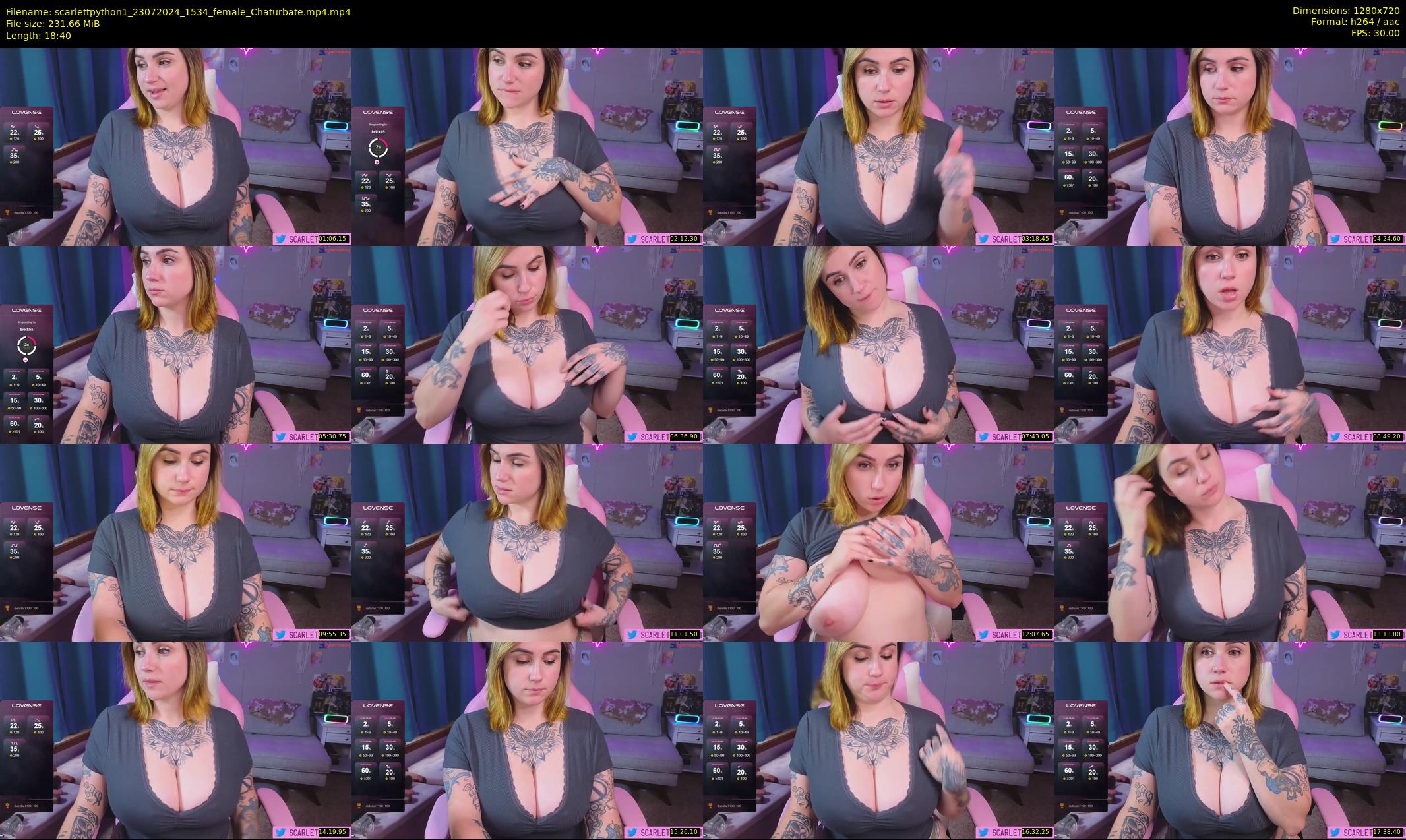scarlettpython1 — 19 minute Chaturbate female cam show recording, 720p, Jul 23, 2024
