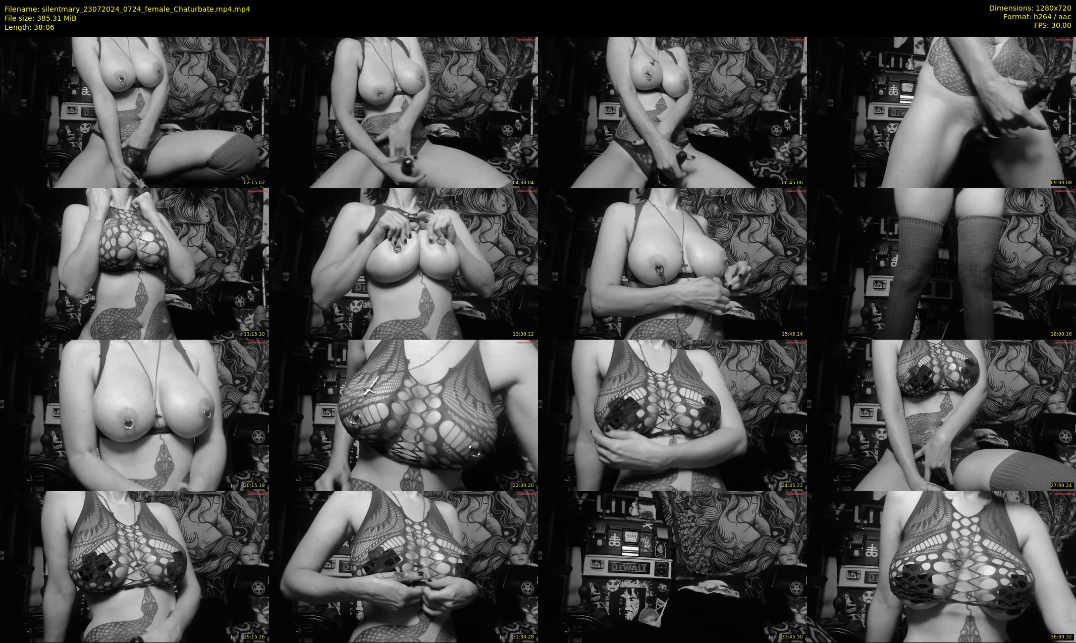 silentmary — 39 minute Chaturbate female cam show recording, 720p, Jul 23, 2024