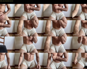 bestdick1991 — 120 minute Chaturbate male cam show recording, 720p, Jul 24, 2024